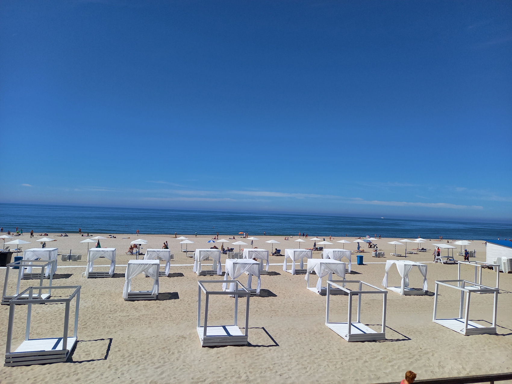 Янтарная свадьба (19/44)