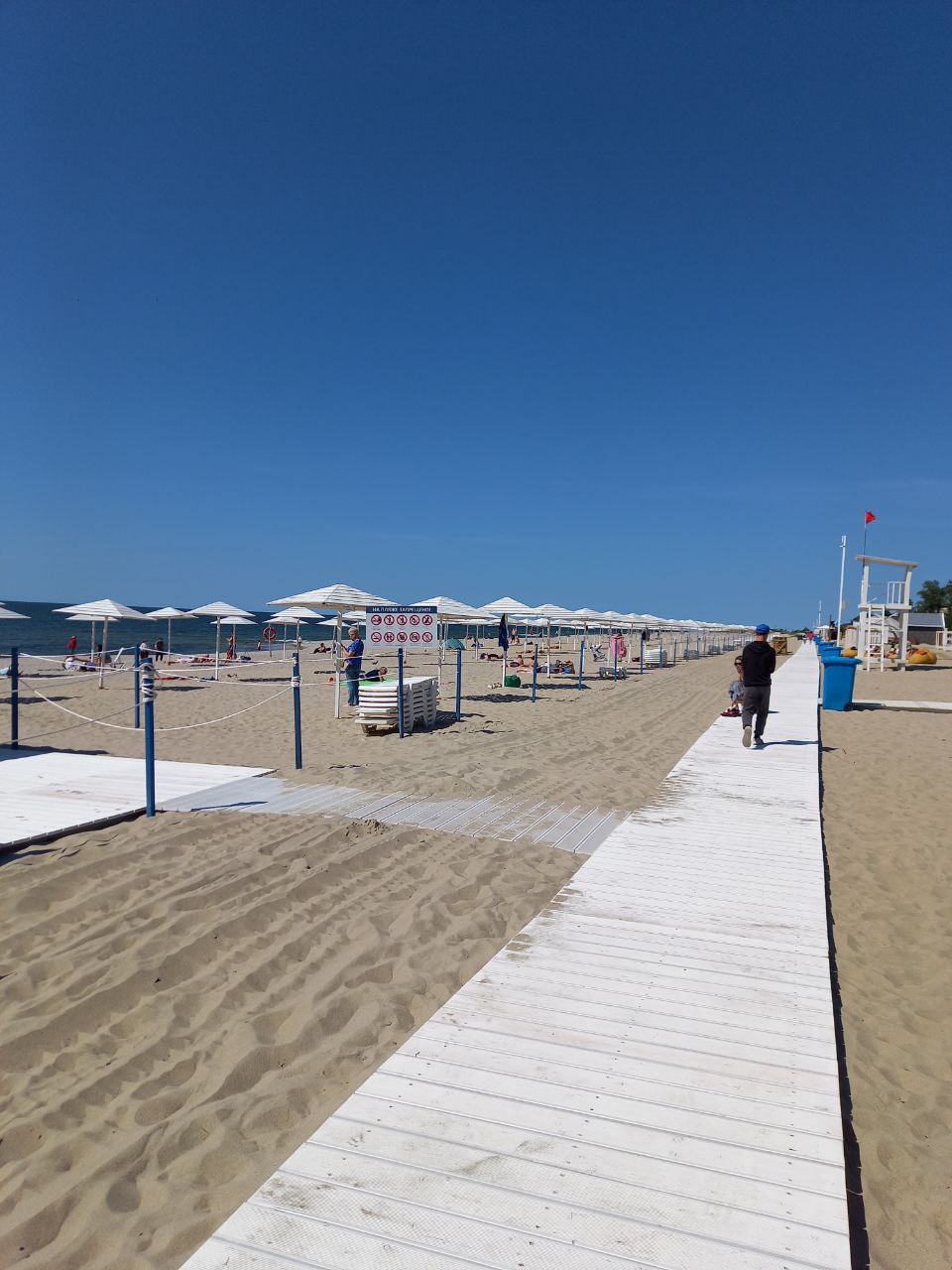 Янтарная свадьба (10/44)