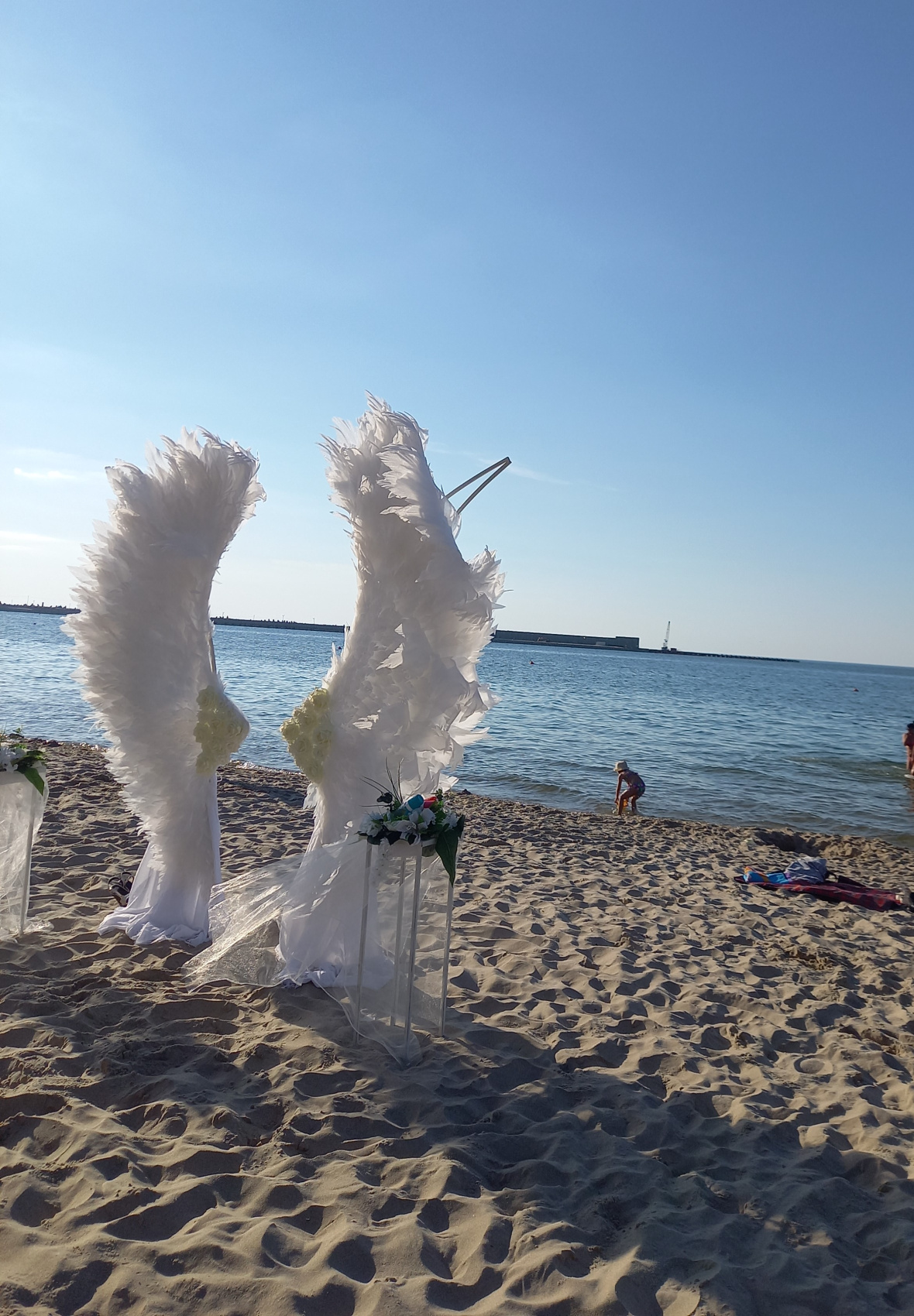 Янтарная свадьба (20/44)