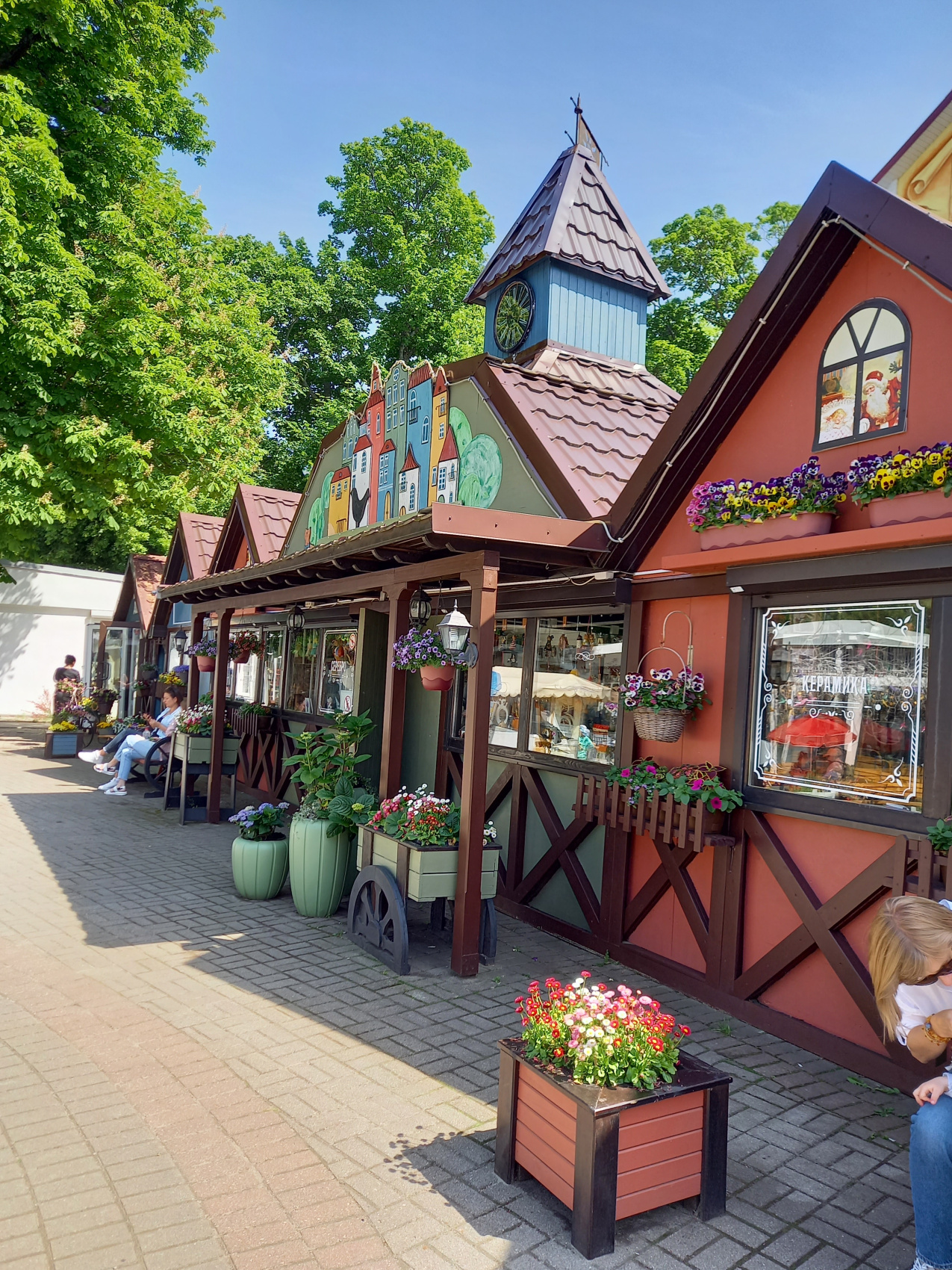 Янтарная свадьба (3/44)