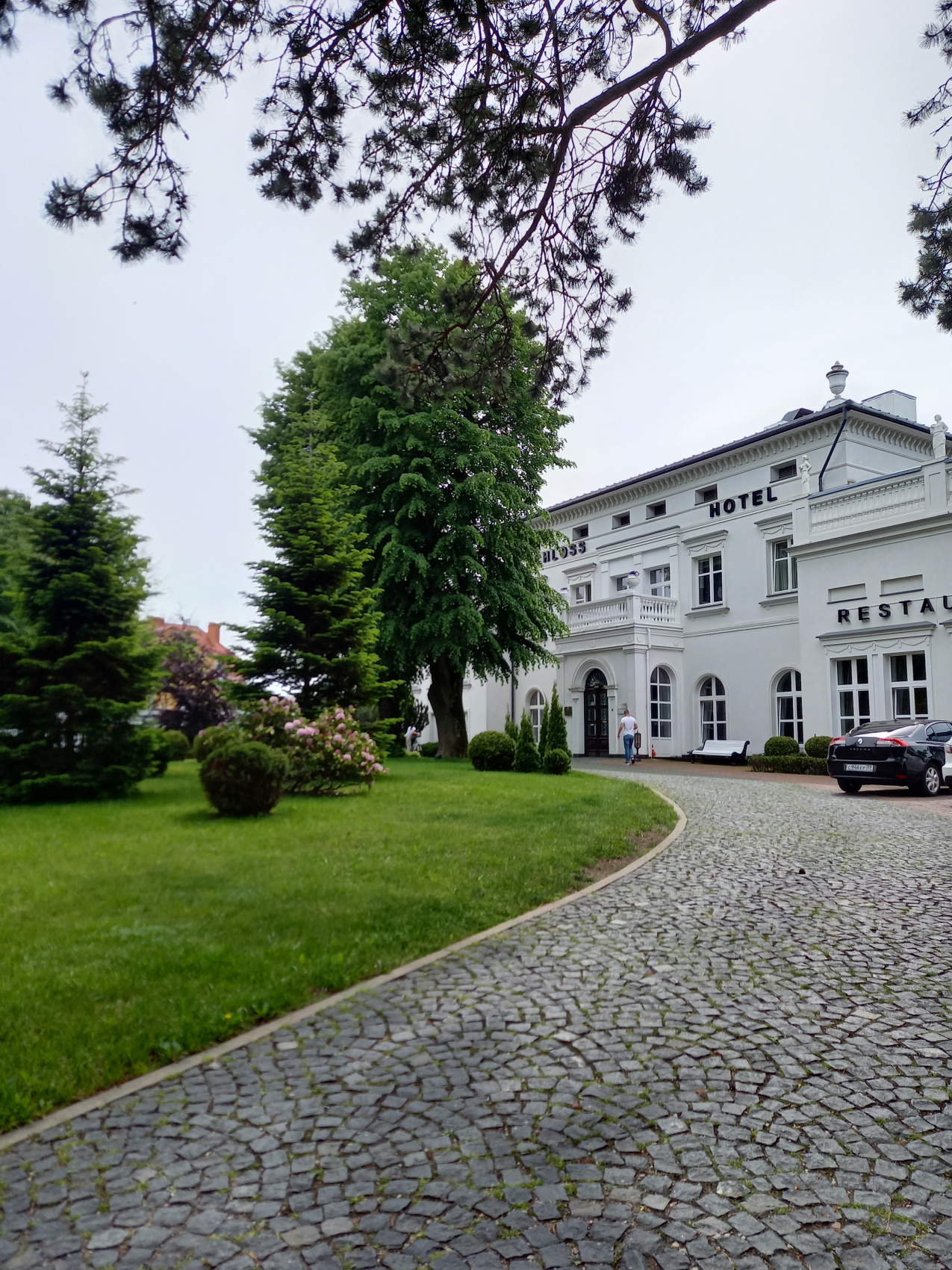 Янтарная свадьба (4/44)