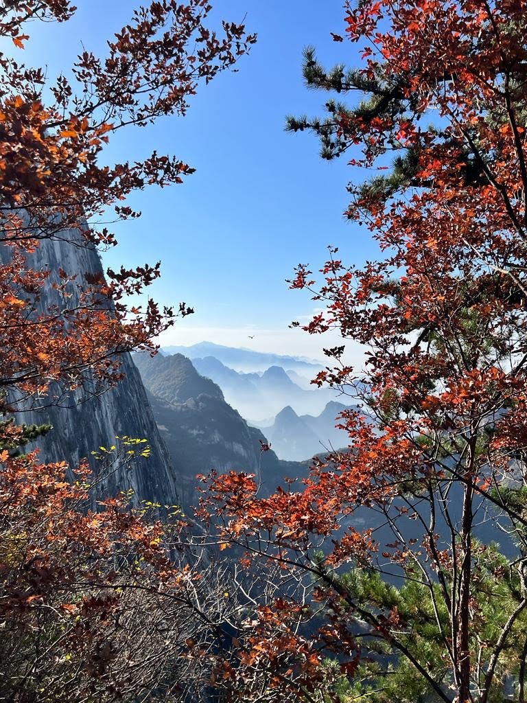 Великие сокровища Китая (25/74)