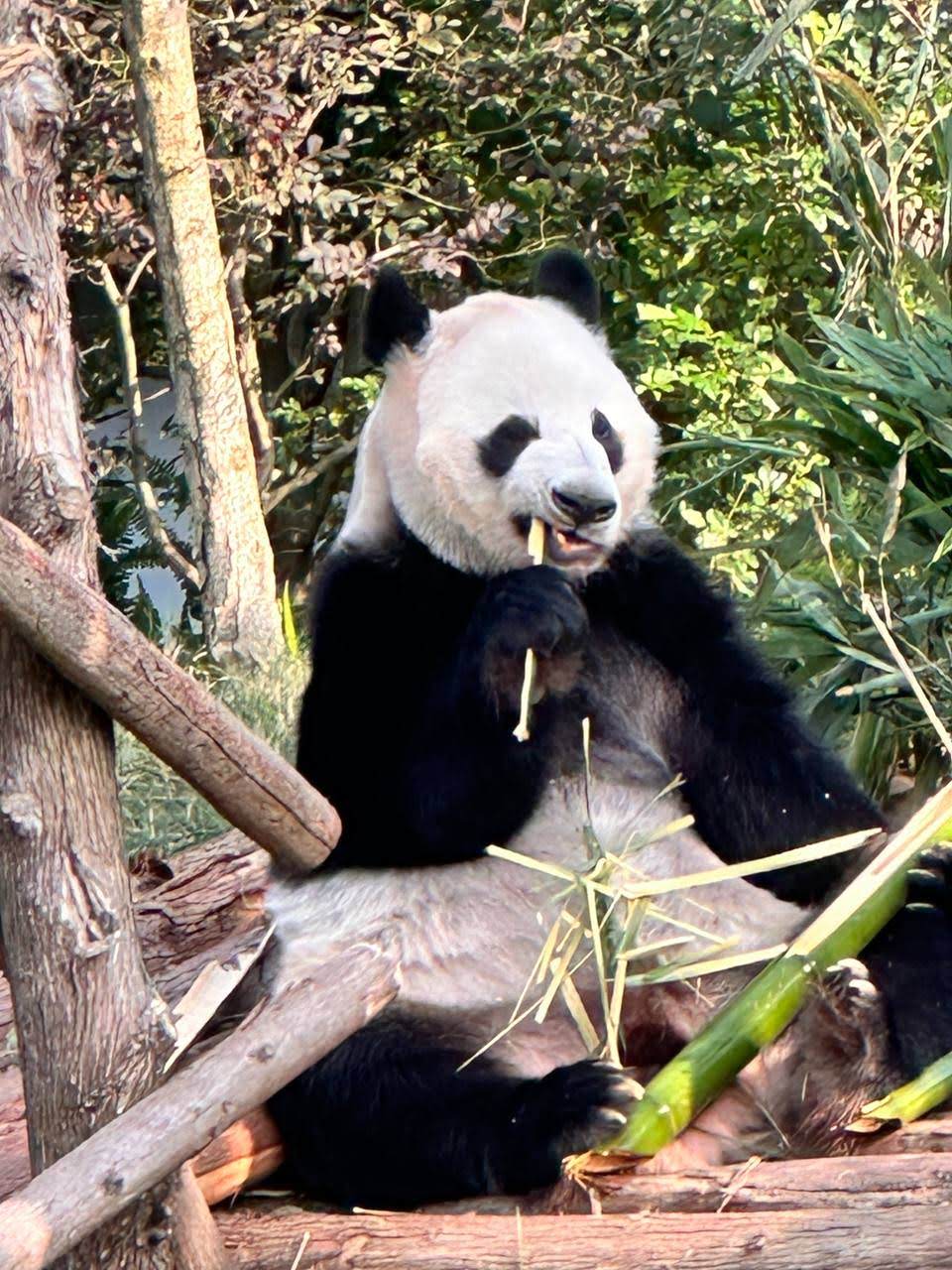 Великие сокровища Китая (10/74)