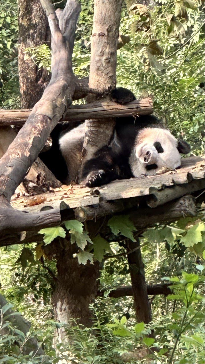 Великие сокровища Китая (9/74)