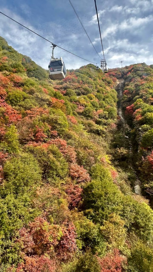 Великие сокровища Китая (29/74)