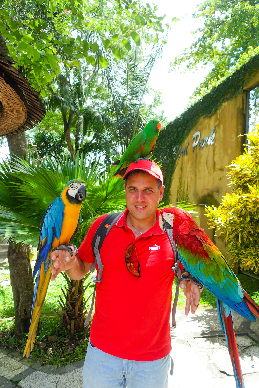 АКТИВНЫЙ БАЛИ С КОМФОРТОМ (6/58)