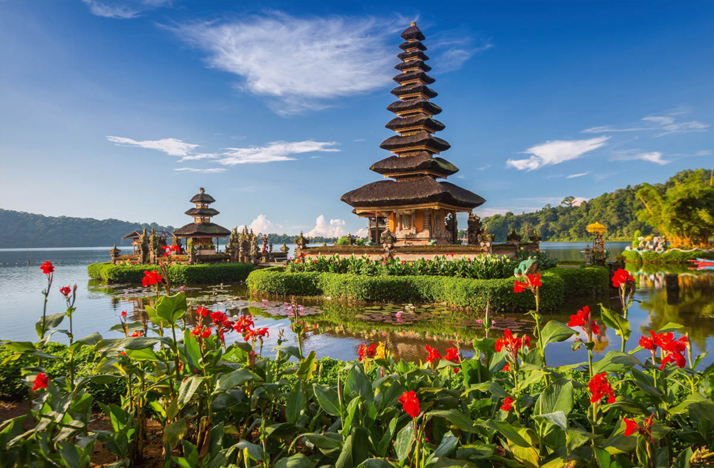 АКТИВНЫЙ БАЛИ С КОМФОРТОМ (4/58)