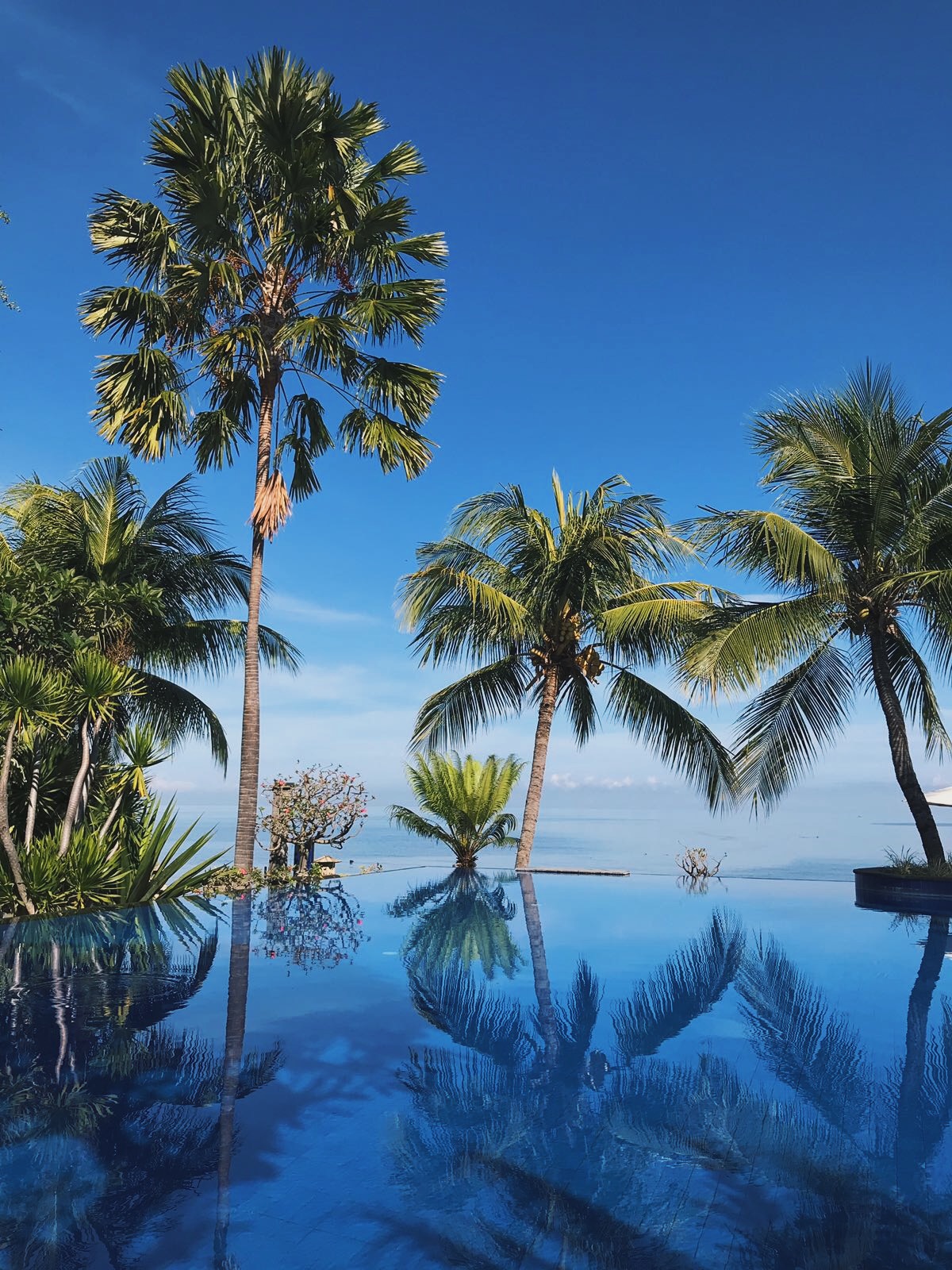 АКТИВНЫЙ БАЛИ С КОМФОРТОМ (25/58)