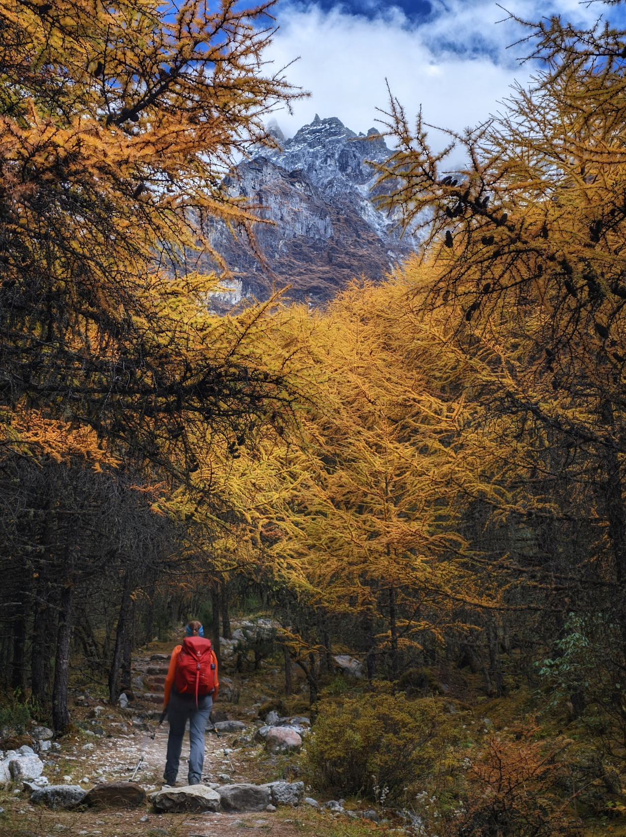 Эксклюзив. Канченджанга Трекинг в Гималаях к третьей вершине мира. (2/71)