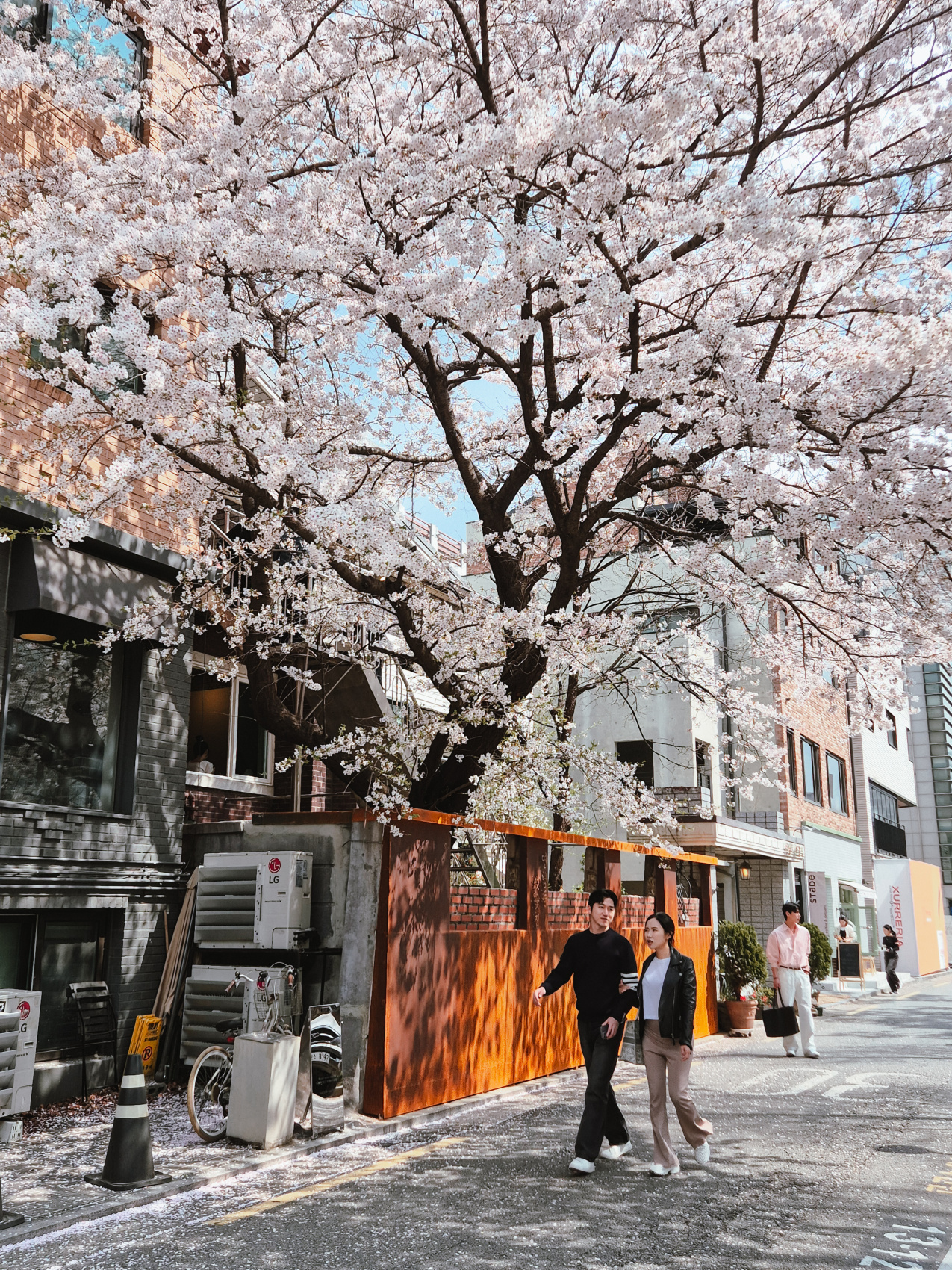 Travel - девичник в Южной Корее. Весна (8/41)