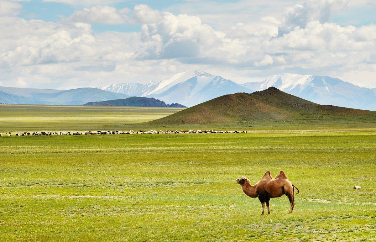 Топовые локации Монголии + древний Каракорум! (14/69)