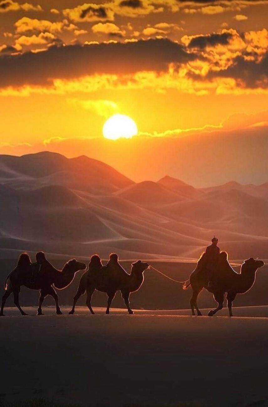 Топовые локации Монголии + древний Каракорум! (8/69)