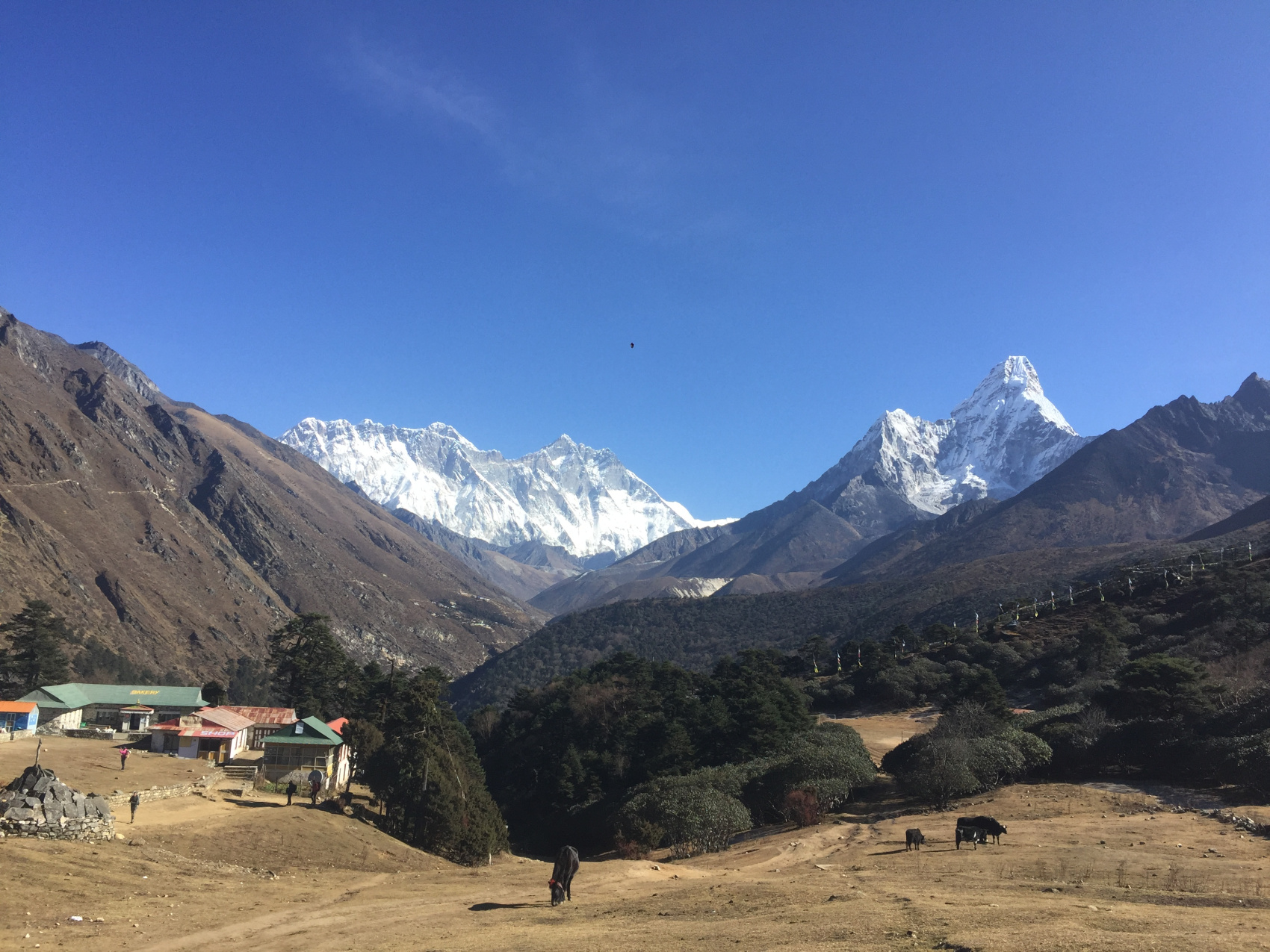 Поход с панорамным видом на Эверест (8/29)