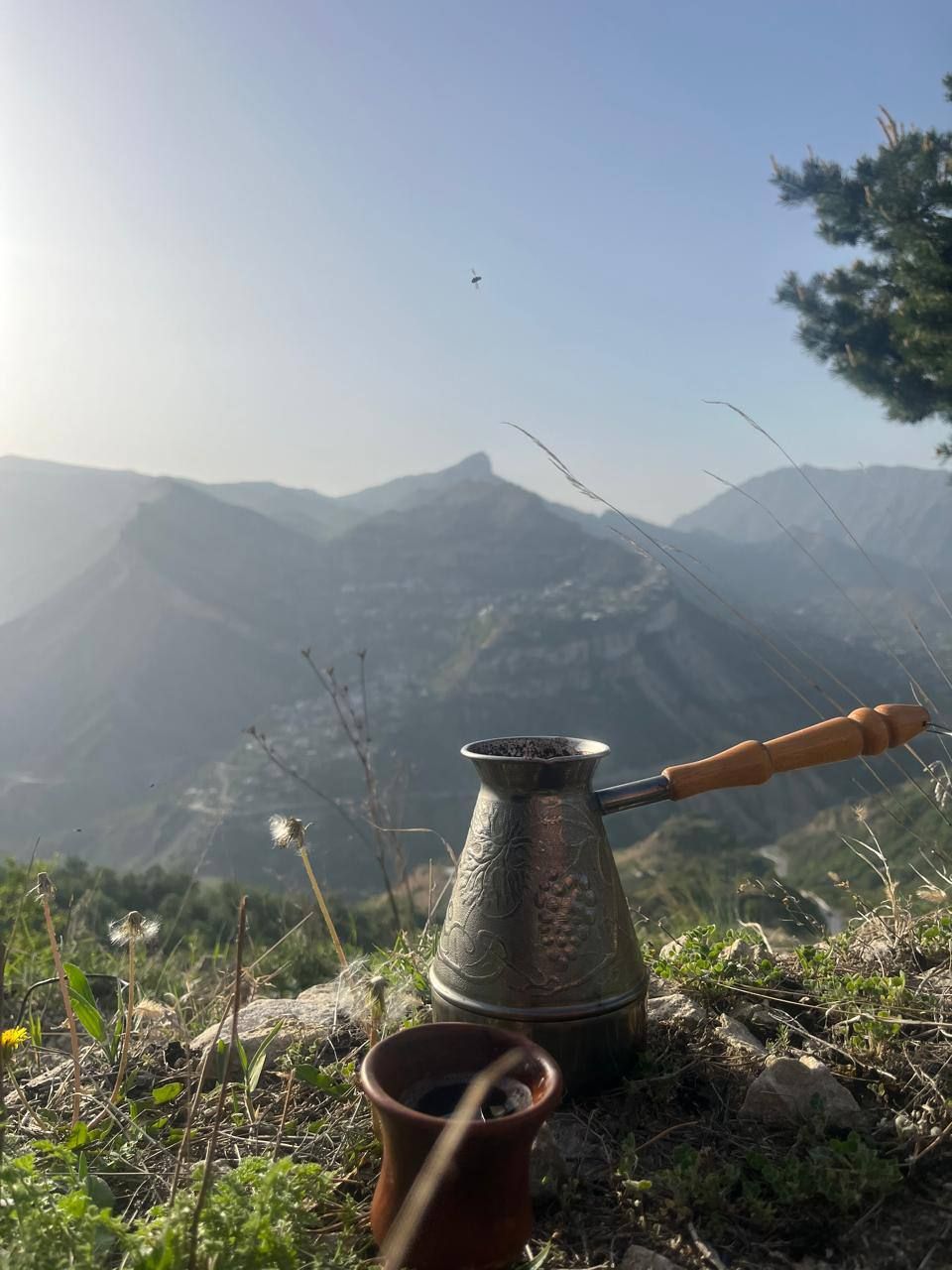 Тур Березка 5 Дней Все Включено (91/172)