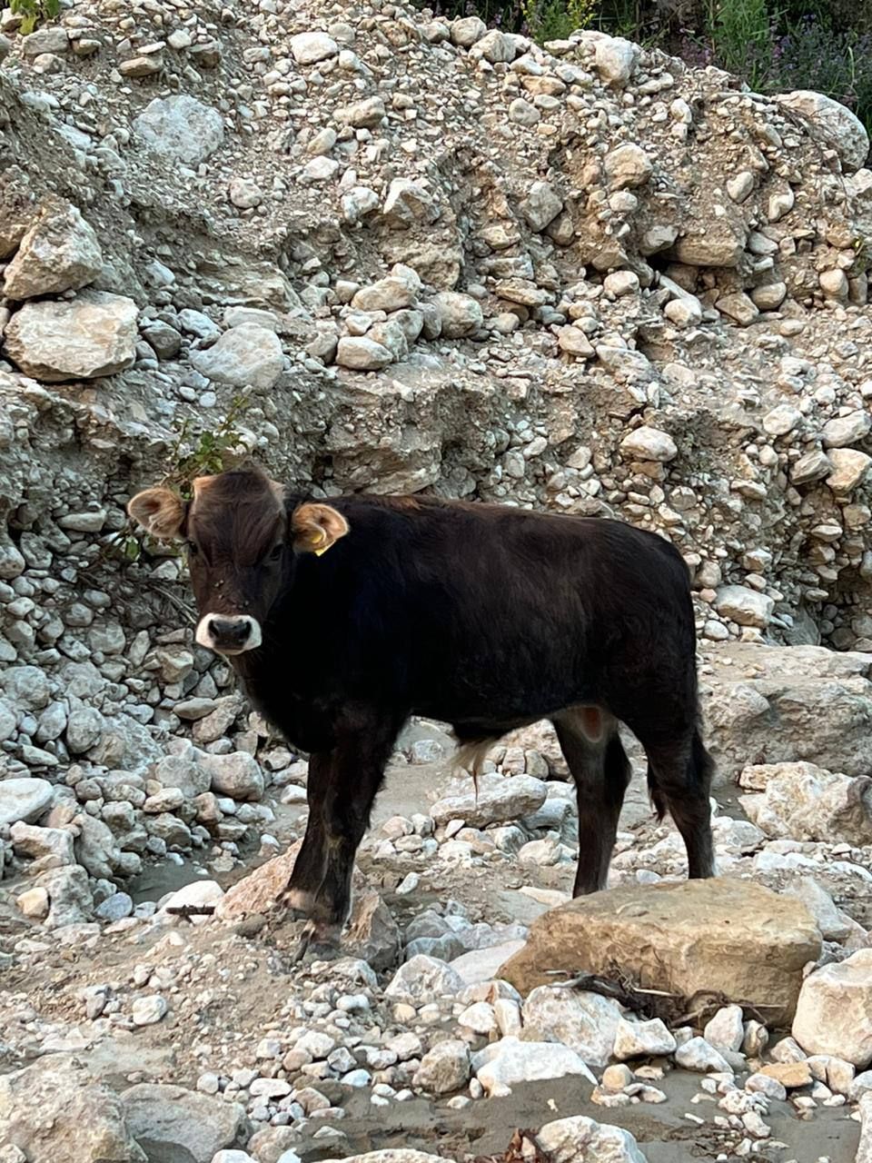 Тур Березка 5 Дней Все Включено (42/172)