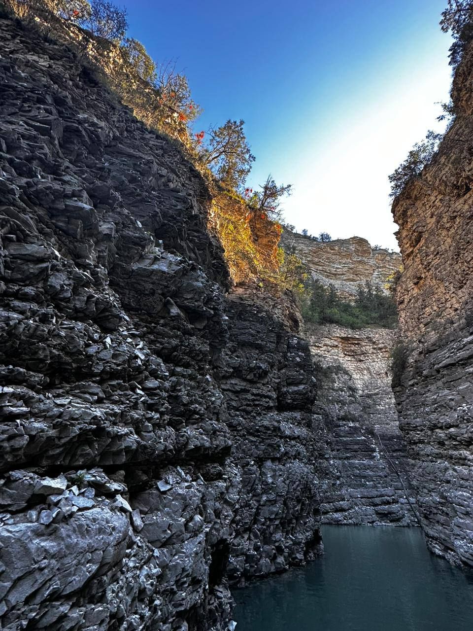 Тур Березка 5 Дней Все Включено (35/172)