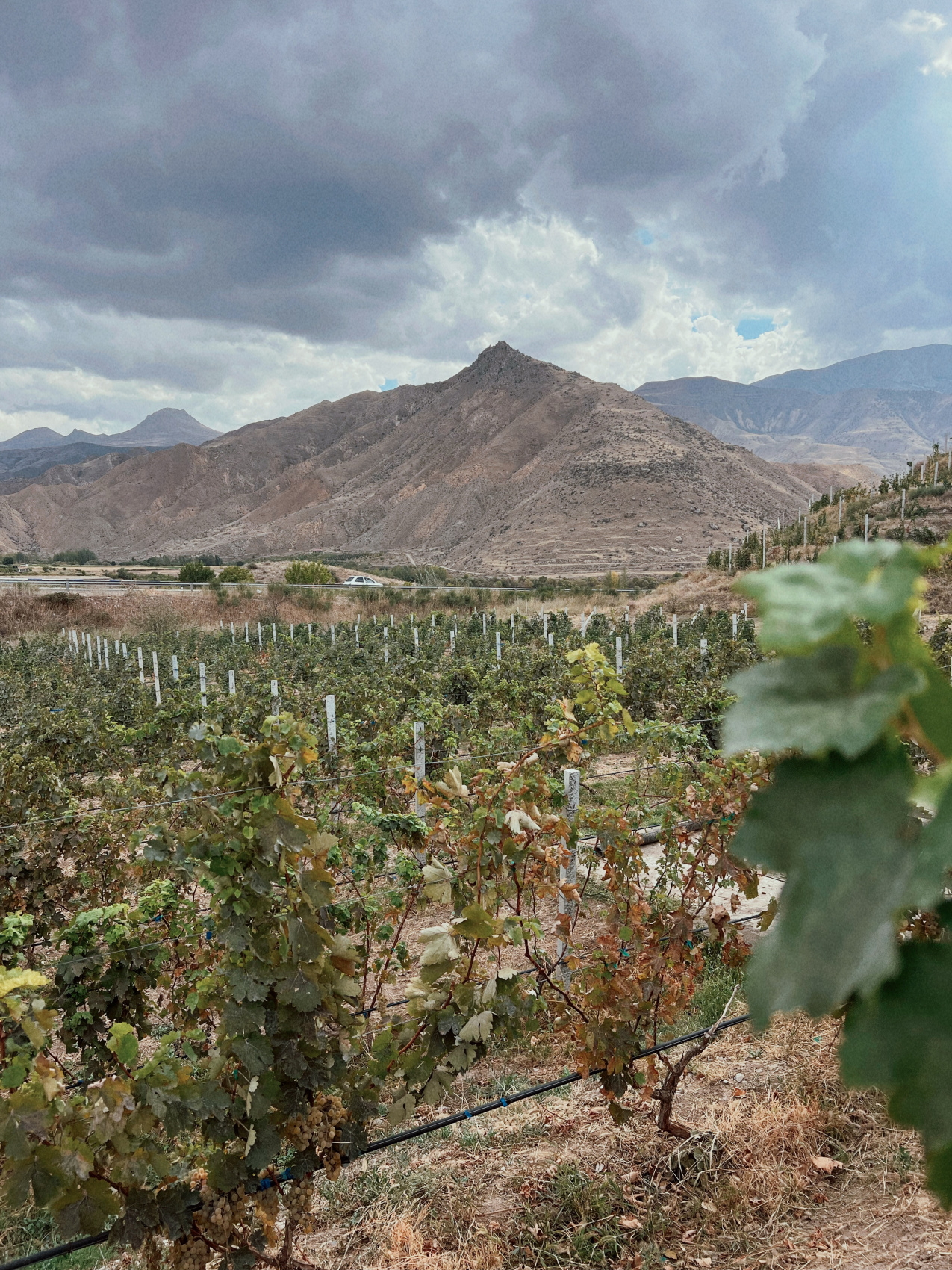 Армения со вкусом (28/48)