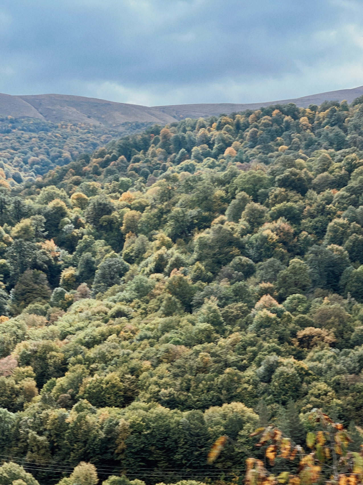 Армения со вкусом (29/48)