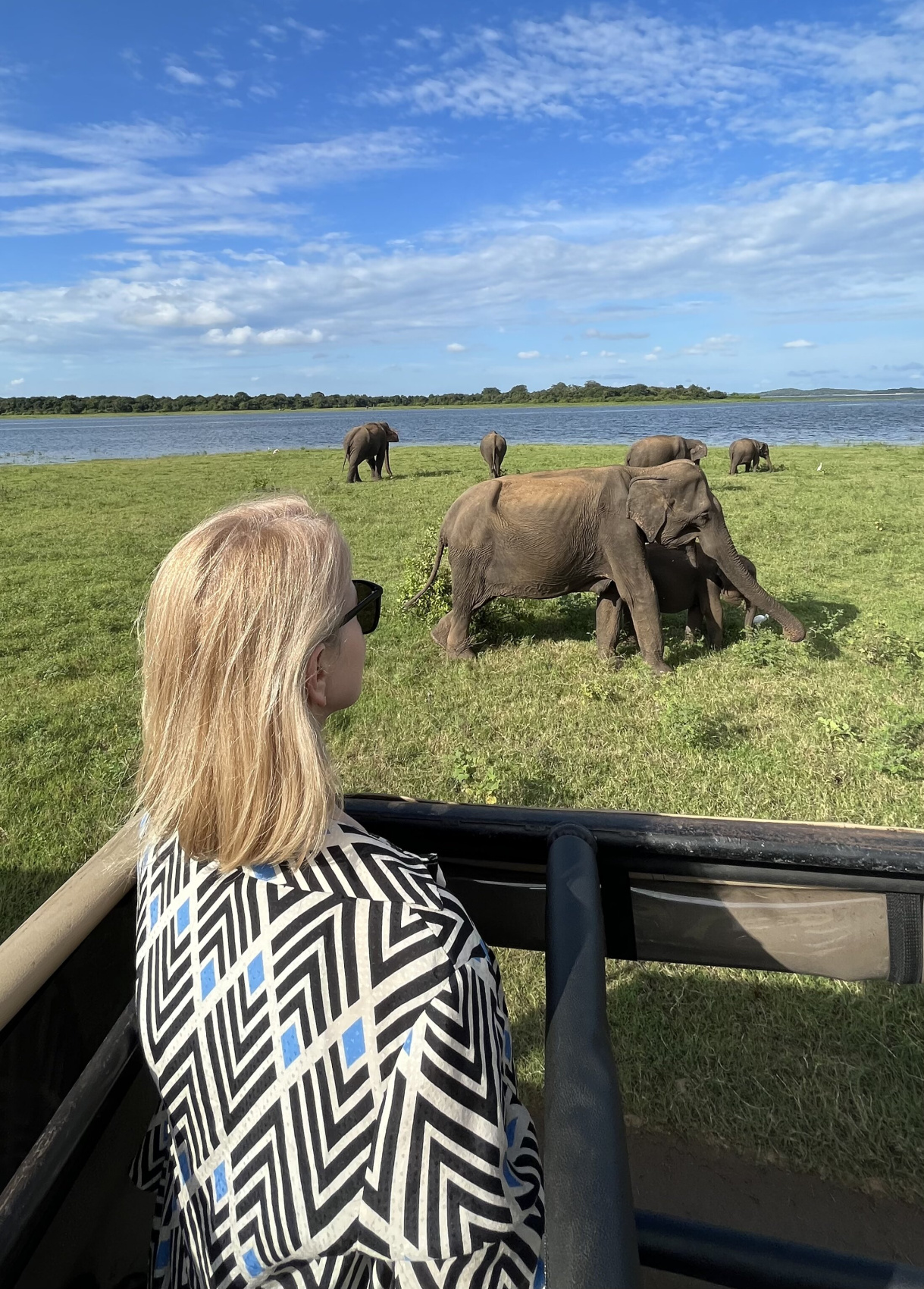 Новый год на Шри-Ланке (3/54)