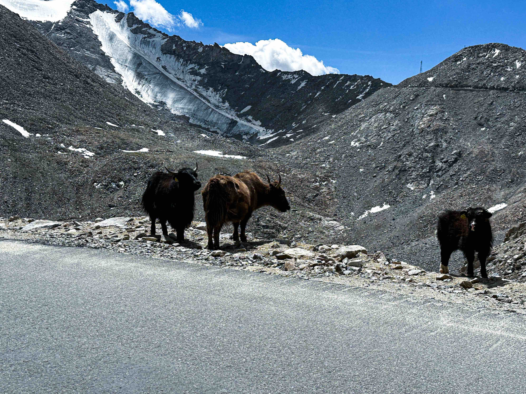 Мотопутешествие в Ладакх, Индия. (10/103)