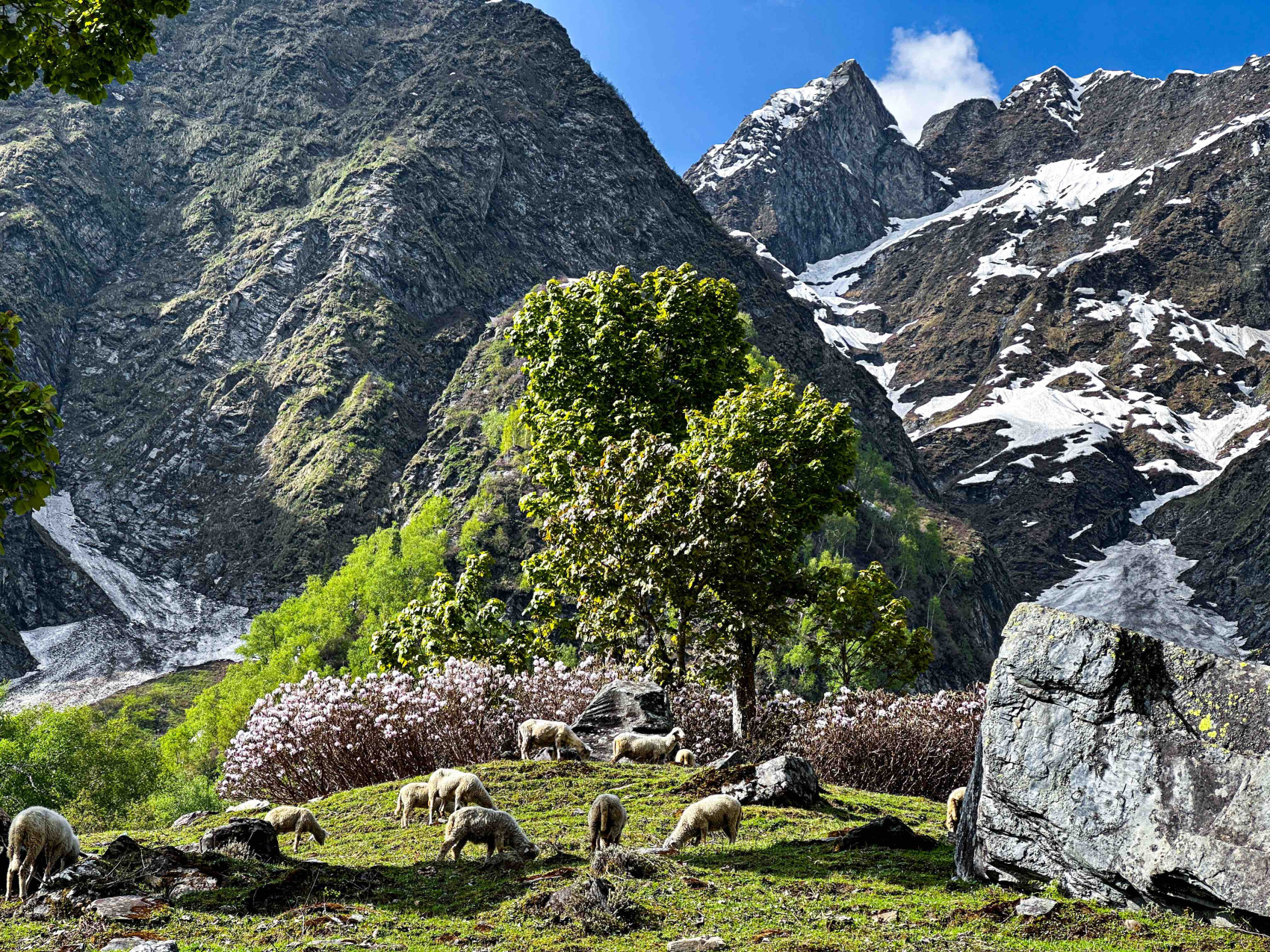 Мотопутешествие в Ладакх, Индия. (48/103)