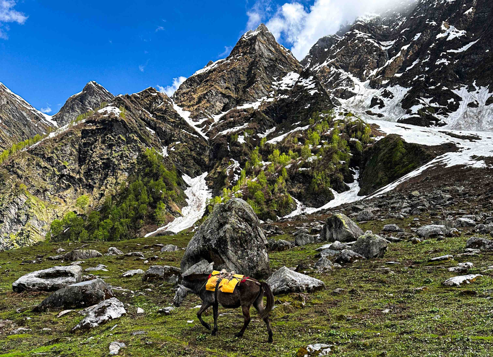 Мотопутешествие в Ладакх, Индия. (46/103)