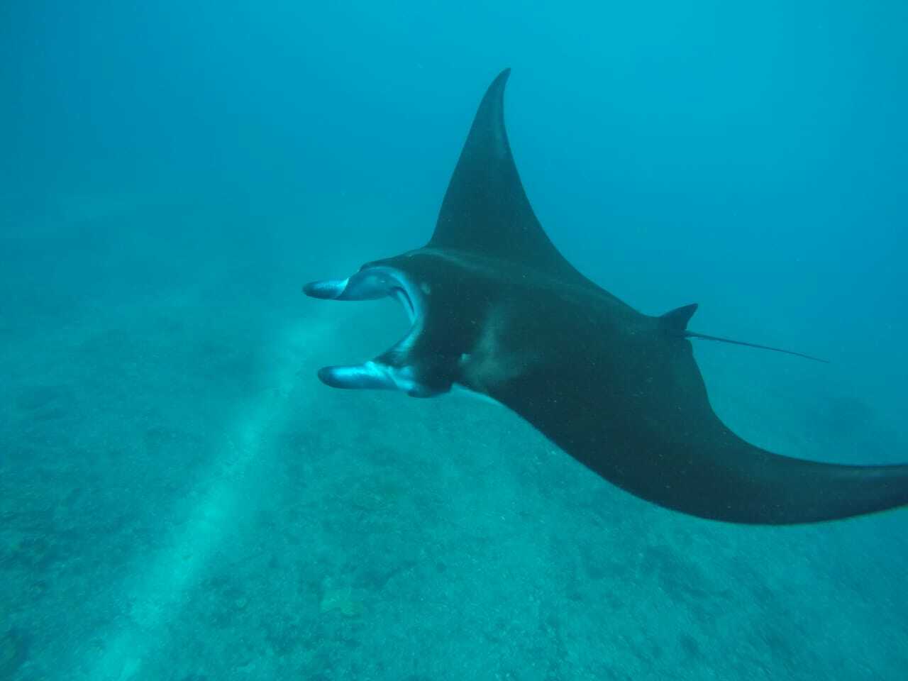 Нуса-Пенида за 2 дня (7/8)