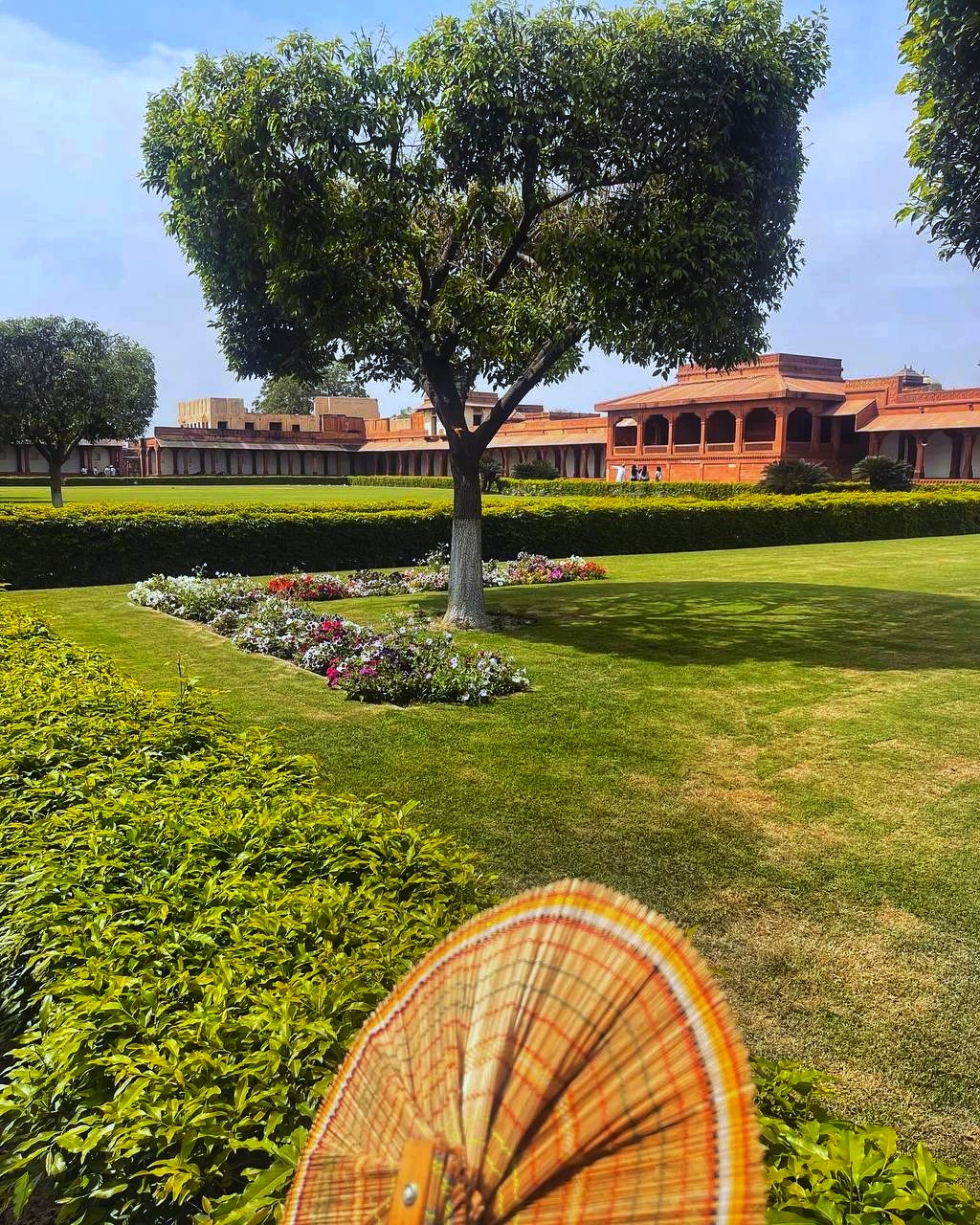 Новый год в Индии. Праздничное путешествие в сердце страны. (29/157)