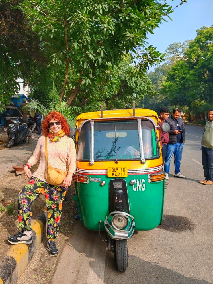 Новый год в Индии. Праздничное путешествие в сердце страны. (106/157)