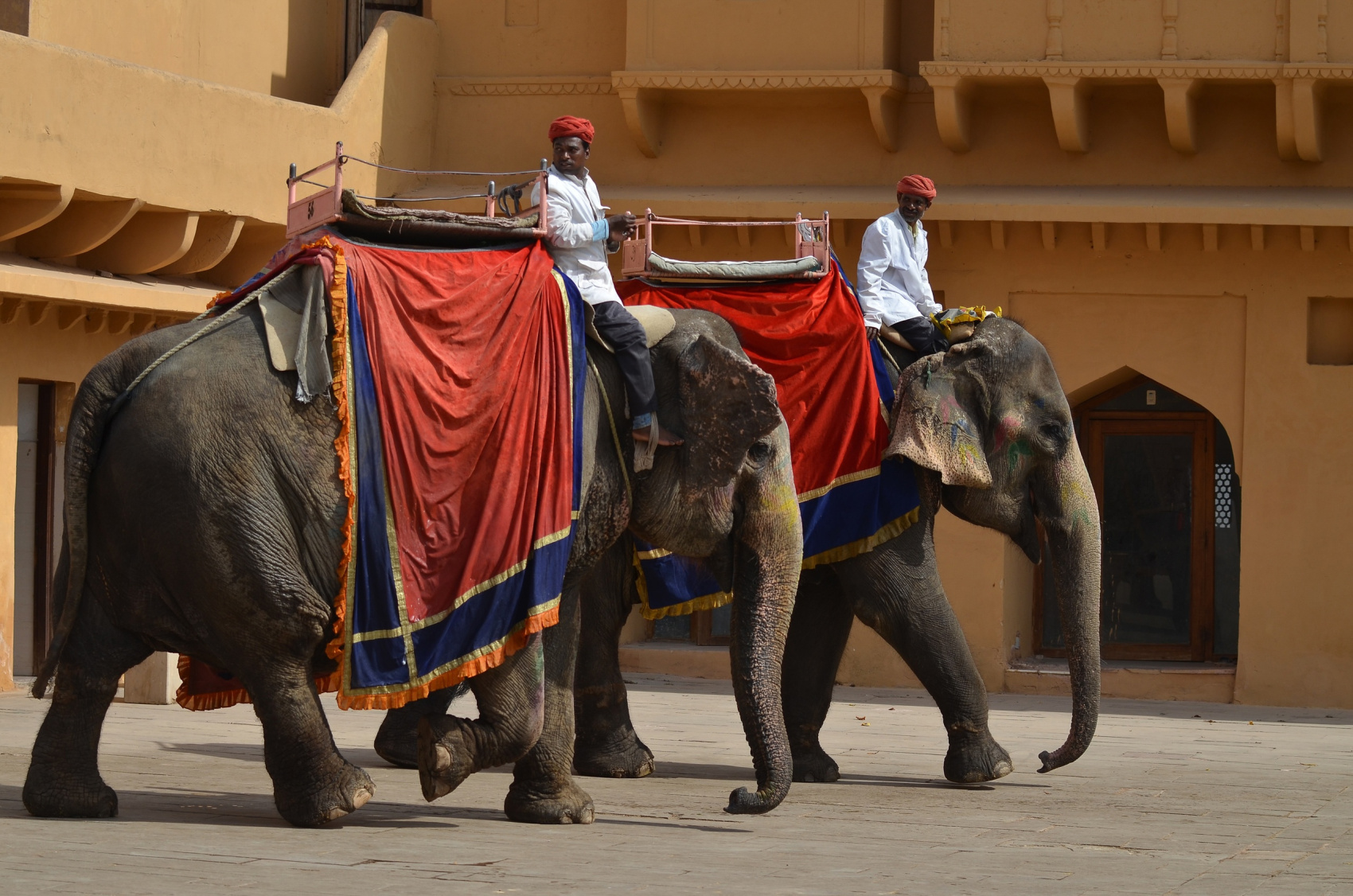 Новый год в Индии. Праздничное путешествие в сердце страны. (22/157)