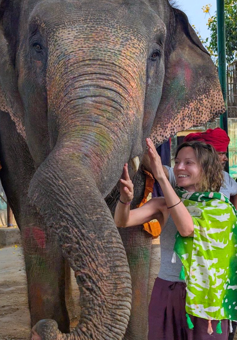 Новый год в Индии. Праздничное путешествие в сердце страны. (120/157)