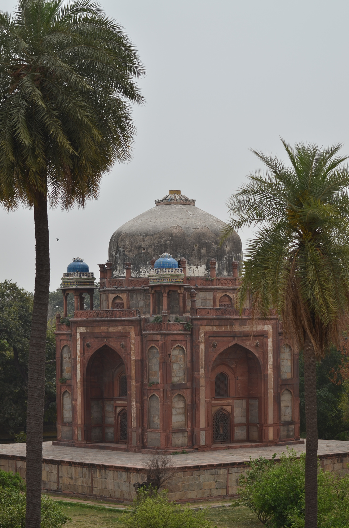 Новый год в Индии. Праздничное путешествие в сердце страны. (53/157)