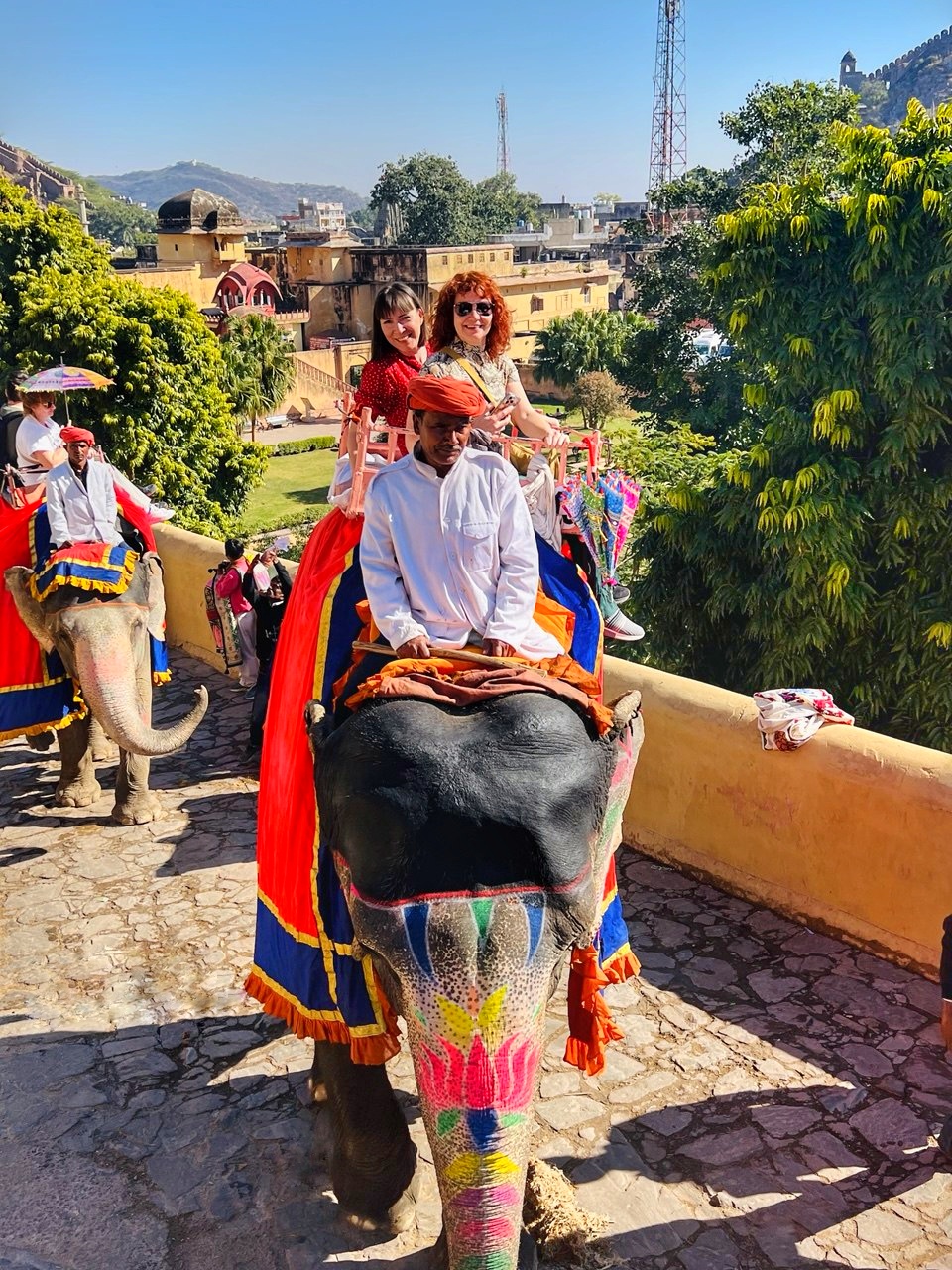 Новый год в Индии. Праздничное путешествие в сердце страны. (103/157)