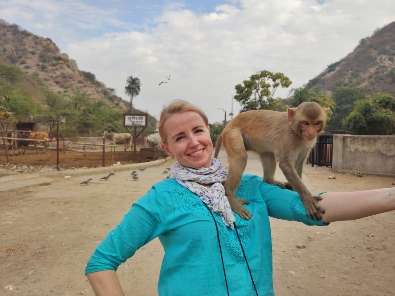 Новый год в Индии. Праздничное путешествие в сердце страны. (11/157)