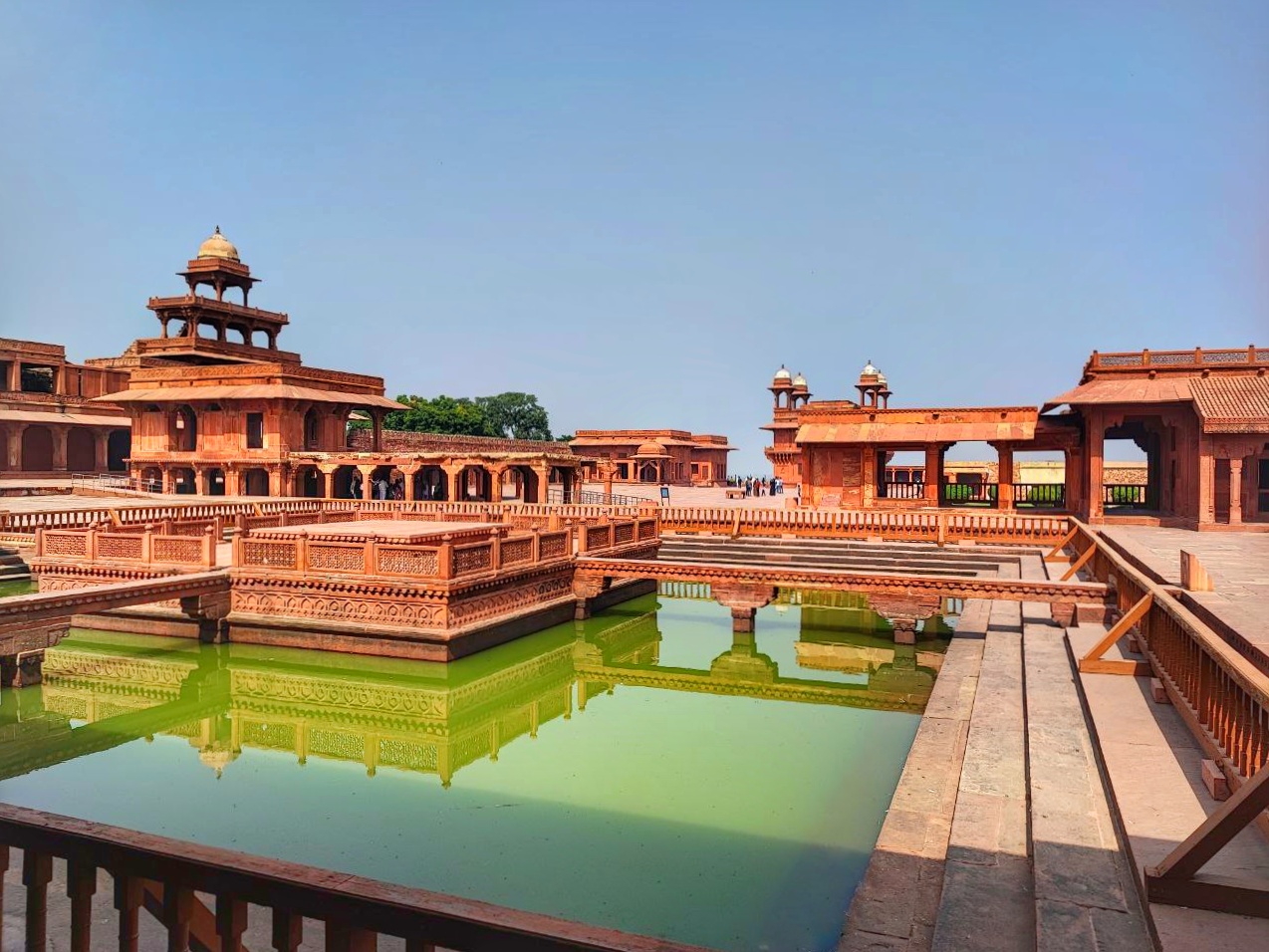 Новый год в Индии. Праздничное путешествие в сердце страны. (63/157)