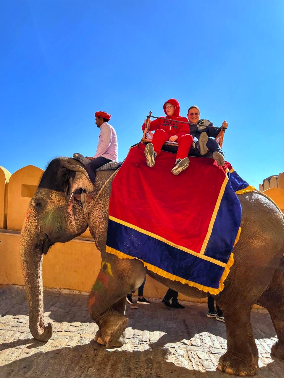 Краски Индии. Яркое путешествие на праздник Дивали. (95/128)