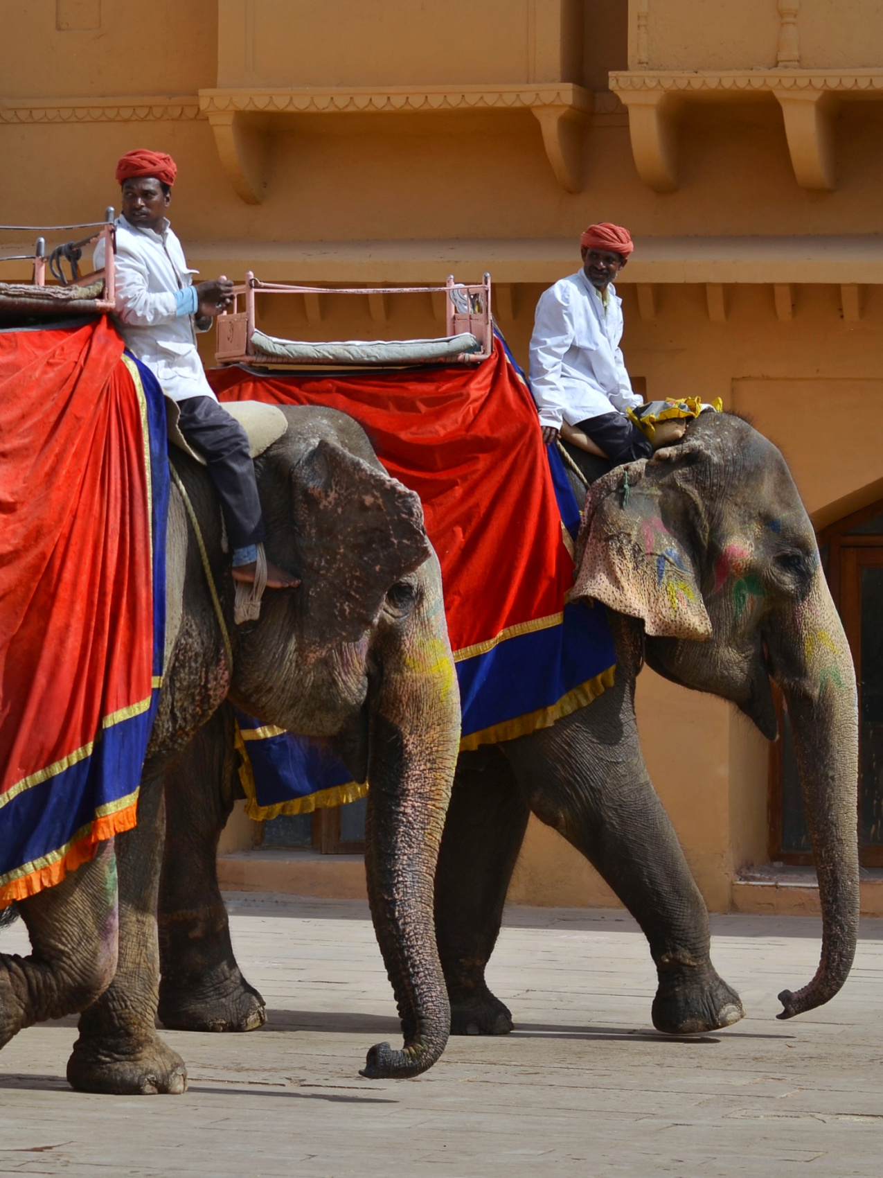 Краски Индии. Яркое путешествие на праздник Дивали. (21/128)