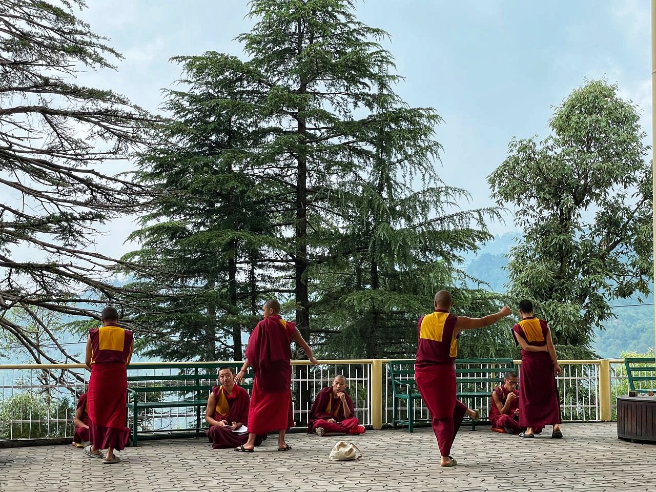 Магия Гималаев. Тур по северной Индии. Священные горы и Ганга. (32/78)