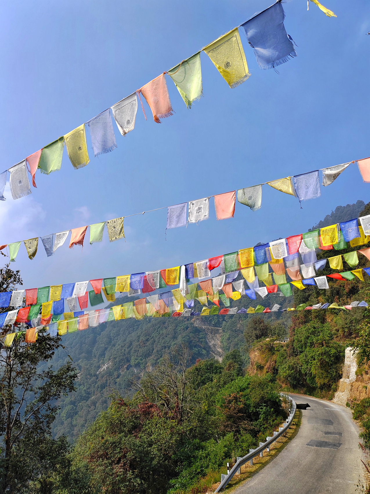 Магия Гималаев. Тур по северной Индии. Священные горы и Ганга. (36/78)