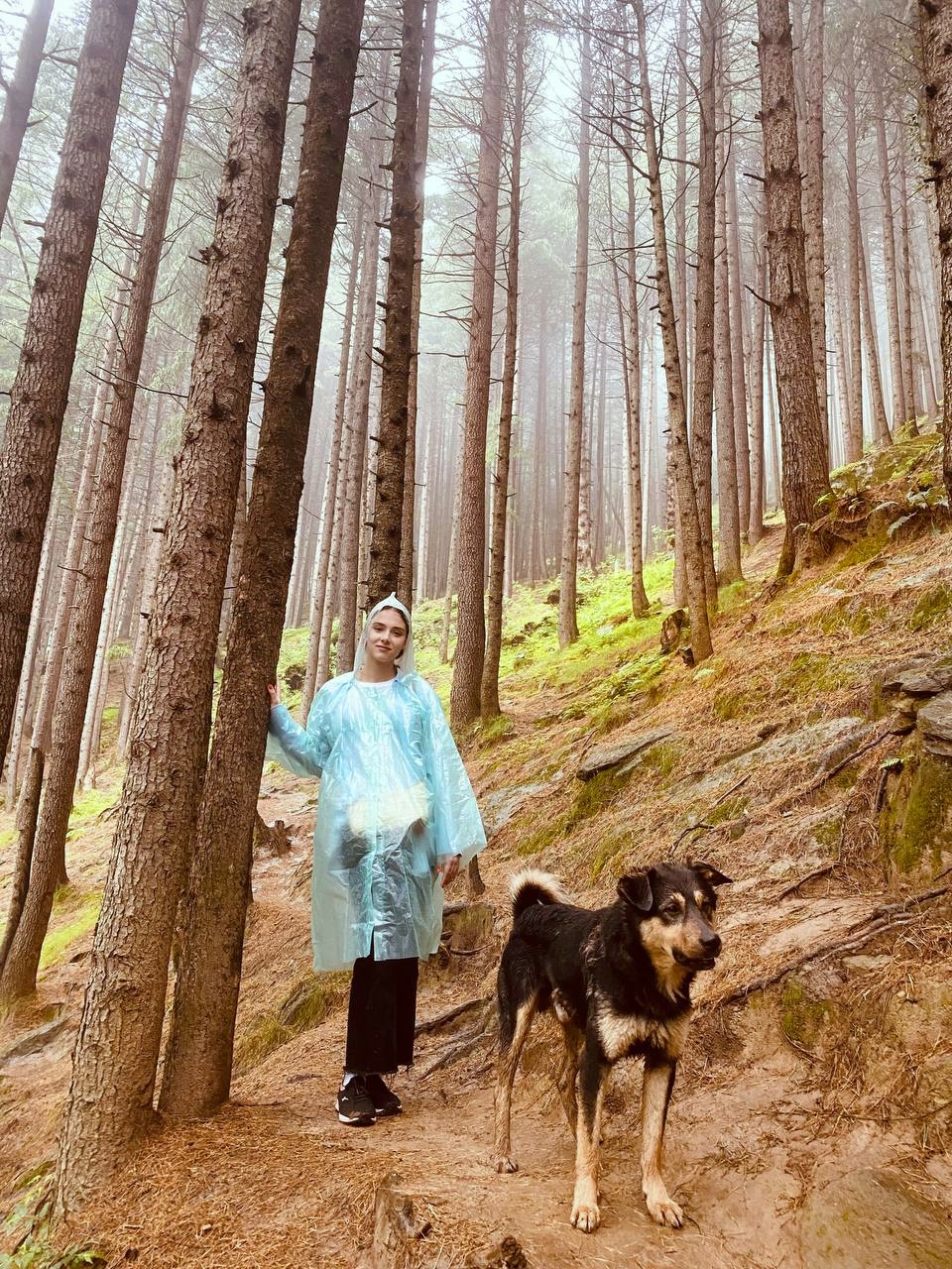 Магия Гималаев. Тур по северной Индии. Священные горы и Ганга. (18/78)