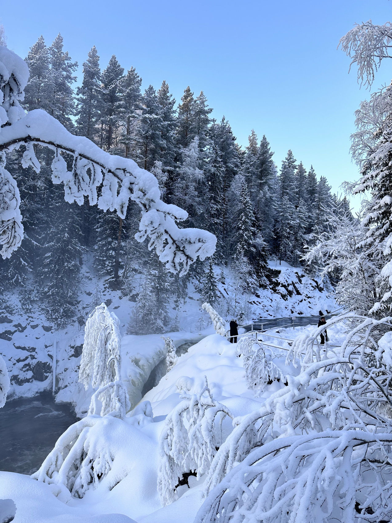 Зимняя сказка. Лучшие места и Глэмпинг. Комфорт, мини группы, любые даты (43/67)