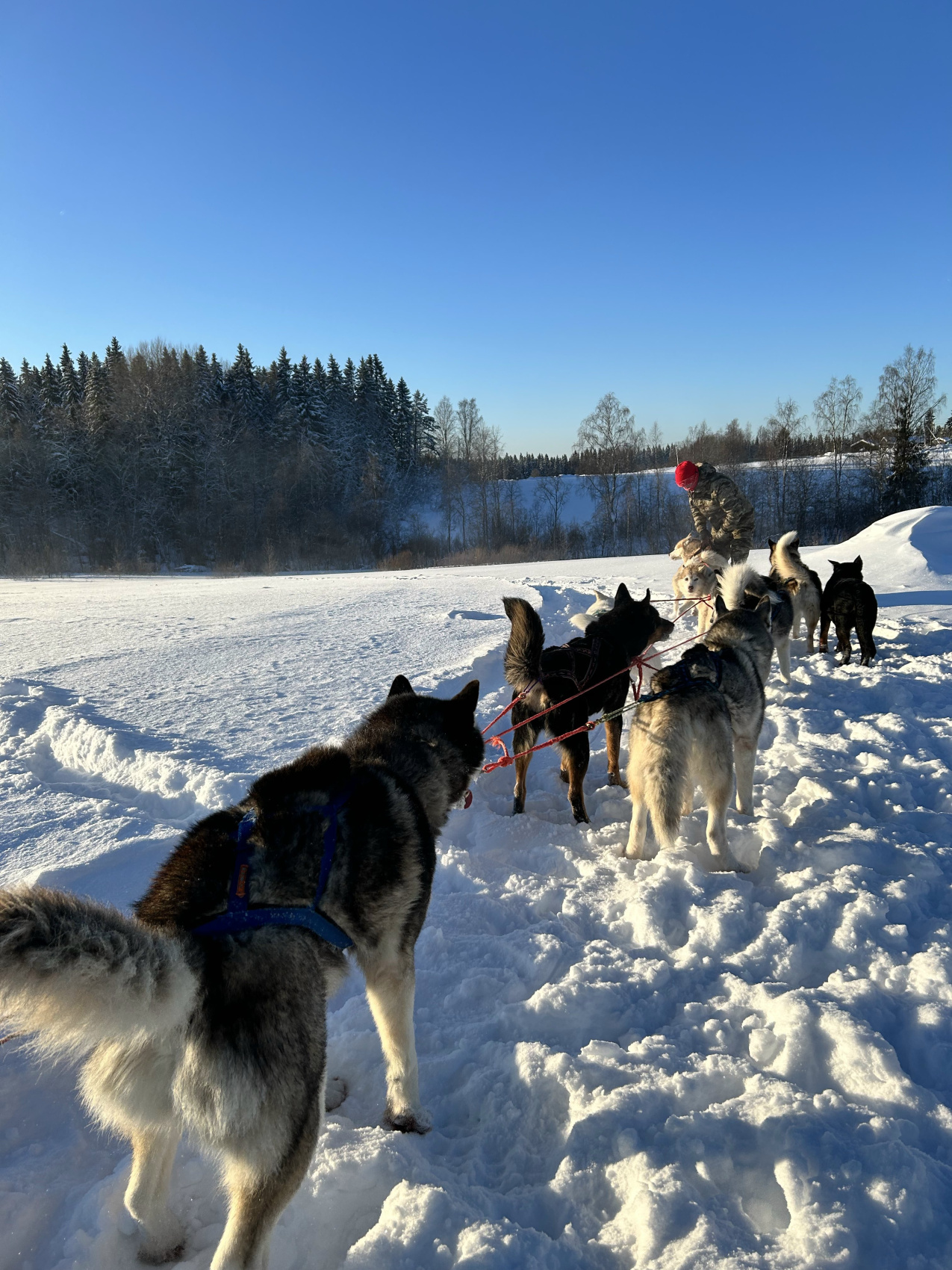 Зимняя сказка. Лучшие места и Глэмпинг. Комфорт, мини группы, любые даты (28/67)
