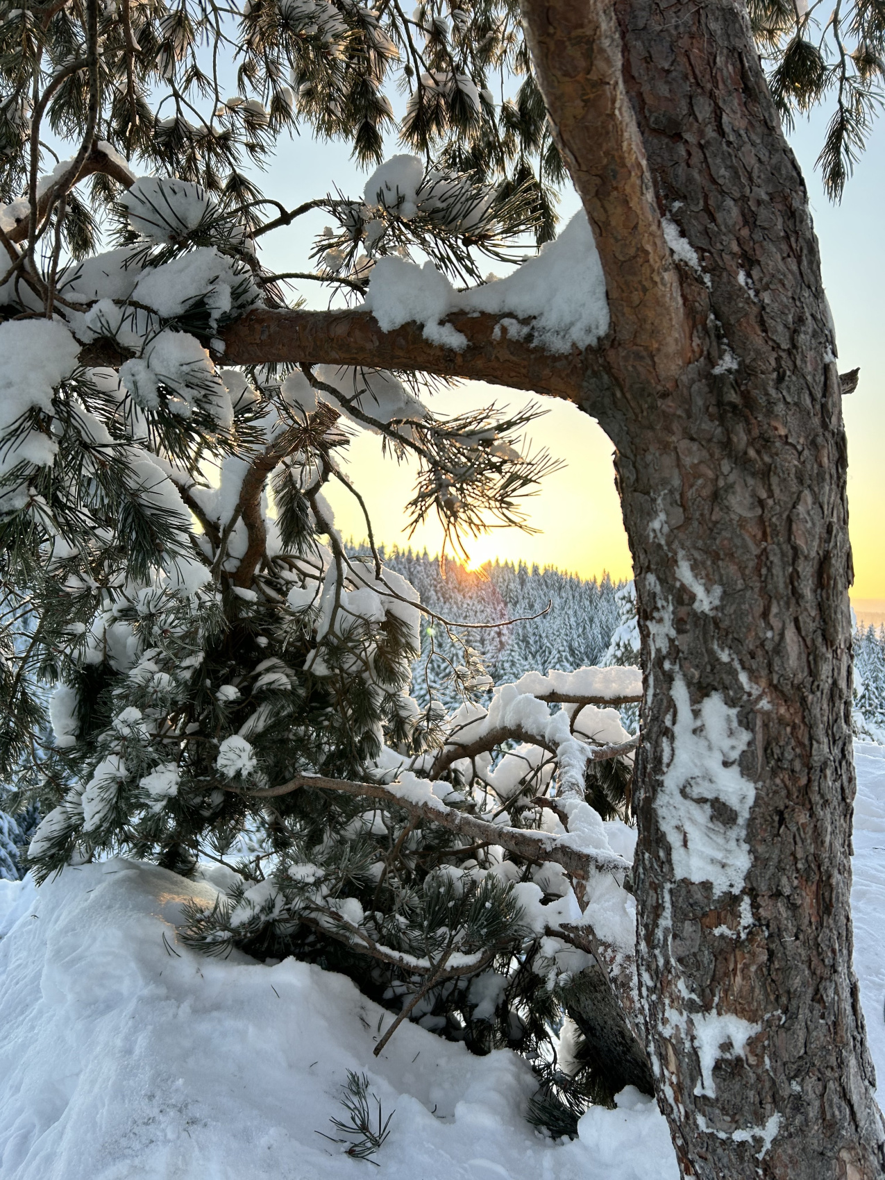 Зимняя сказка. Лучшие места и Глэмпинг. Комфорт, мини группы, любые даты (24/67)