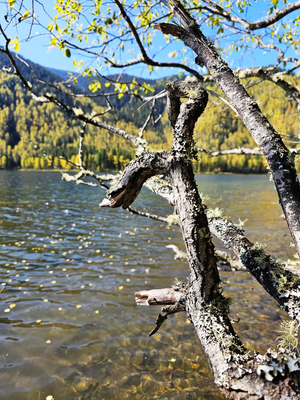 Отшельник - полное погружение в себя и природу (19/56)