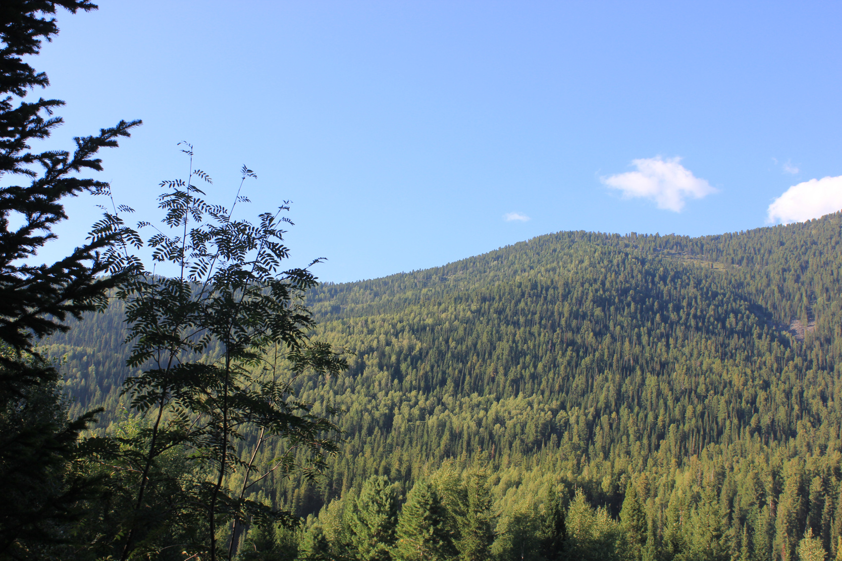 Отшельник - полное погружение в себя и природу (16/56)