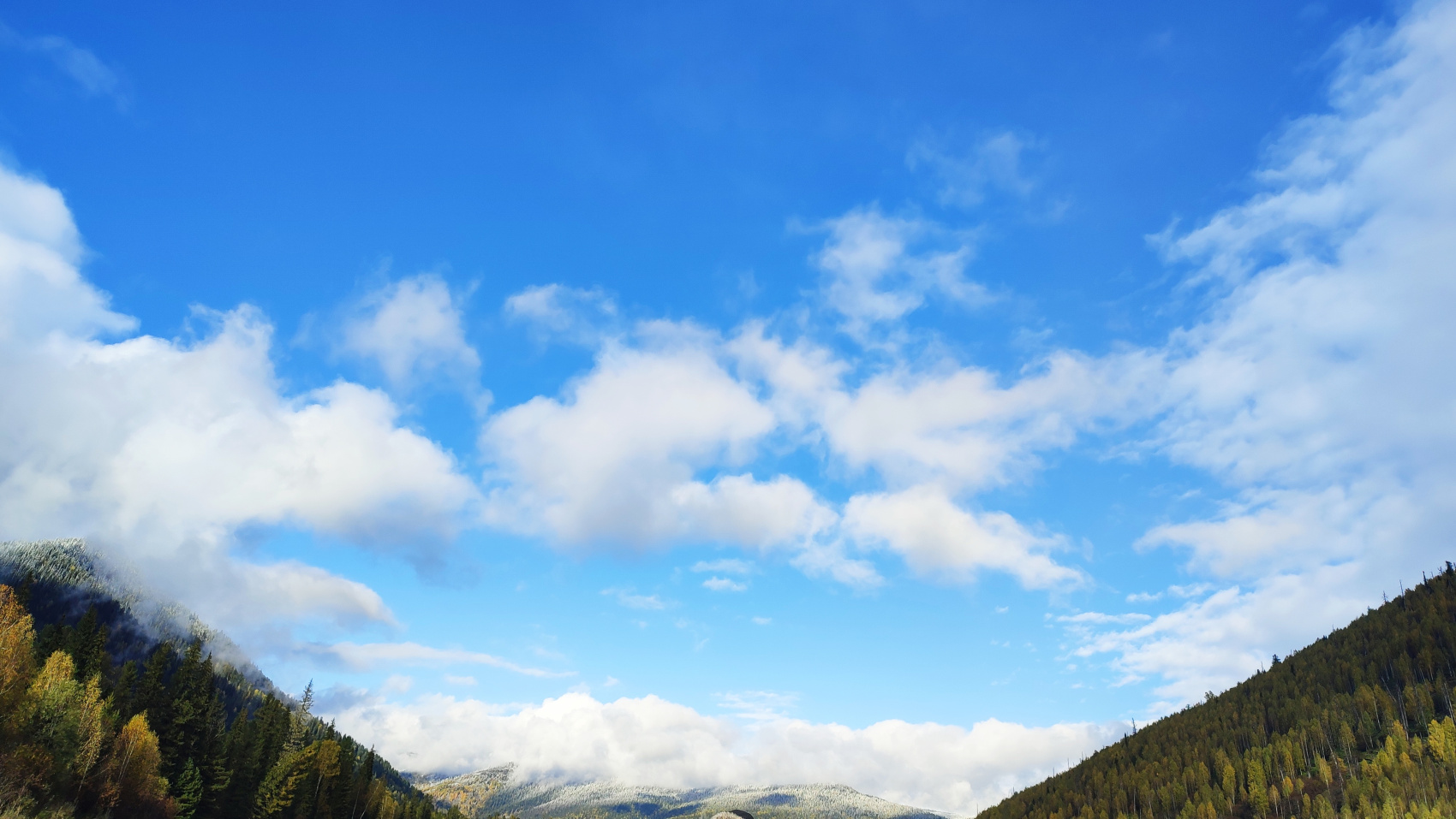 Отшельник - полное погружение в себя и природу (28/56)