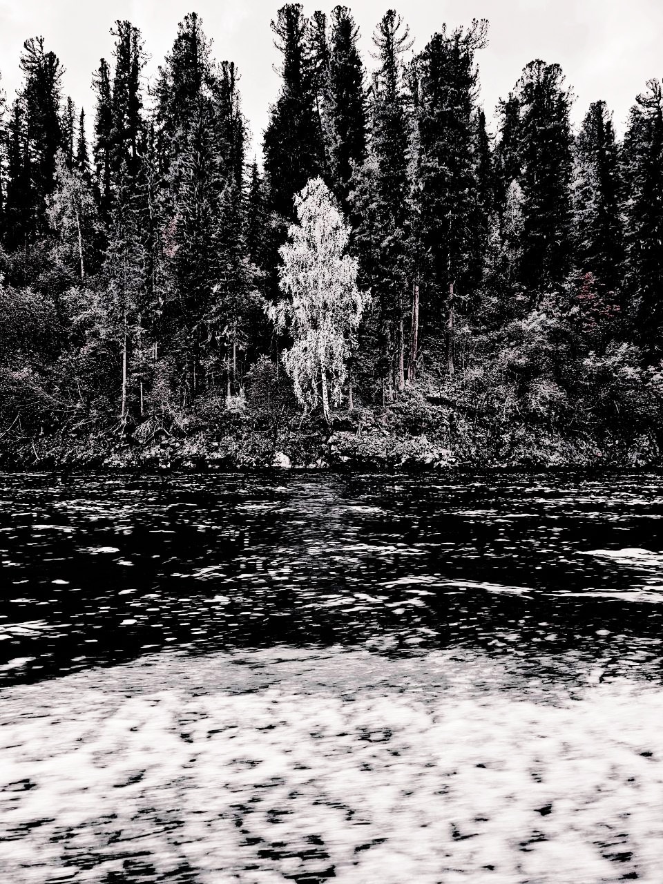 Отшельник - полное погружение в себя и природу (2/56)