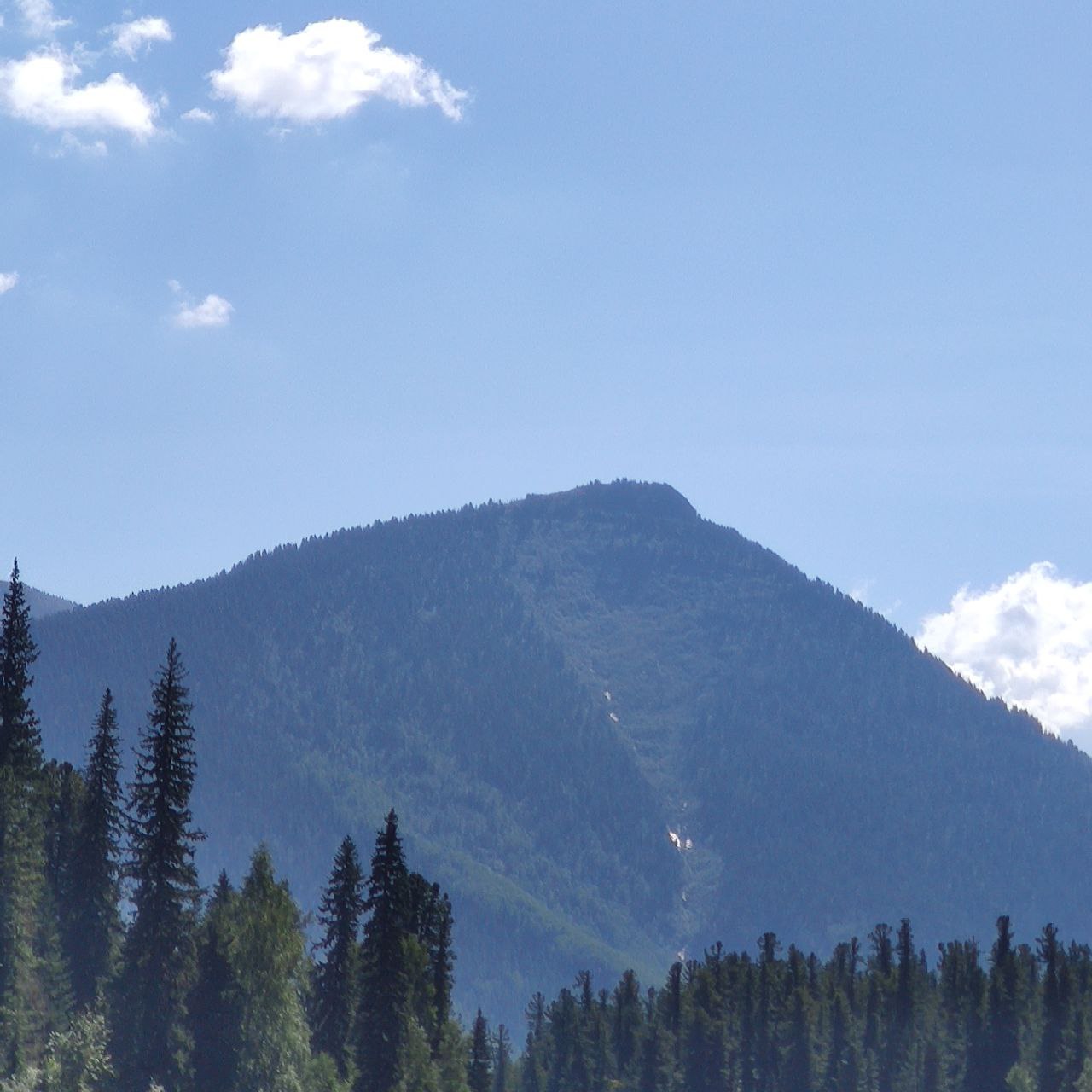 Отшельник - полное погружение в себя и природу (11/56)