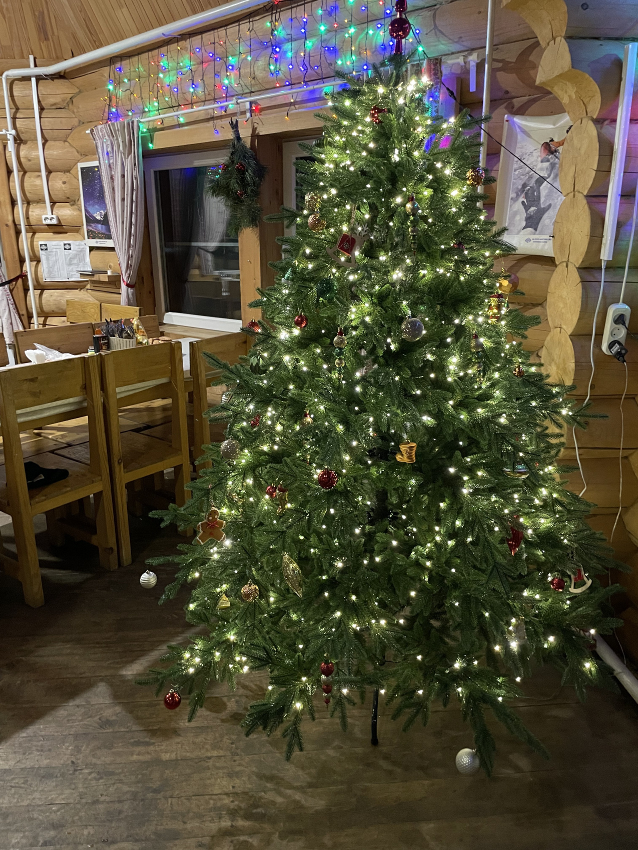 Новый год в горах Алтая: основы альпинизма в ущелье Актру (29/64)