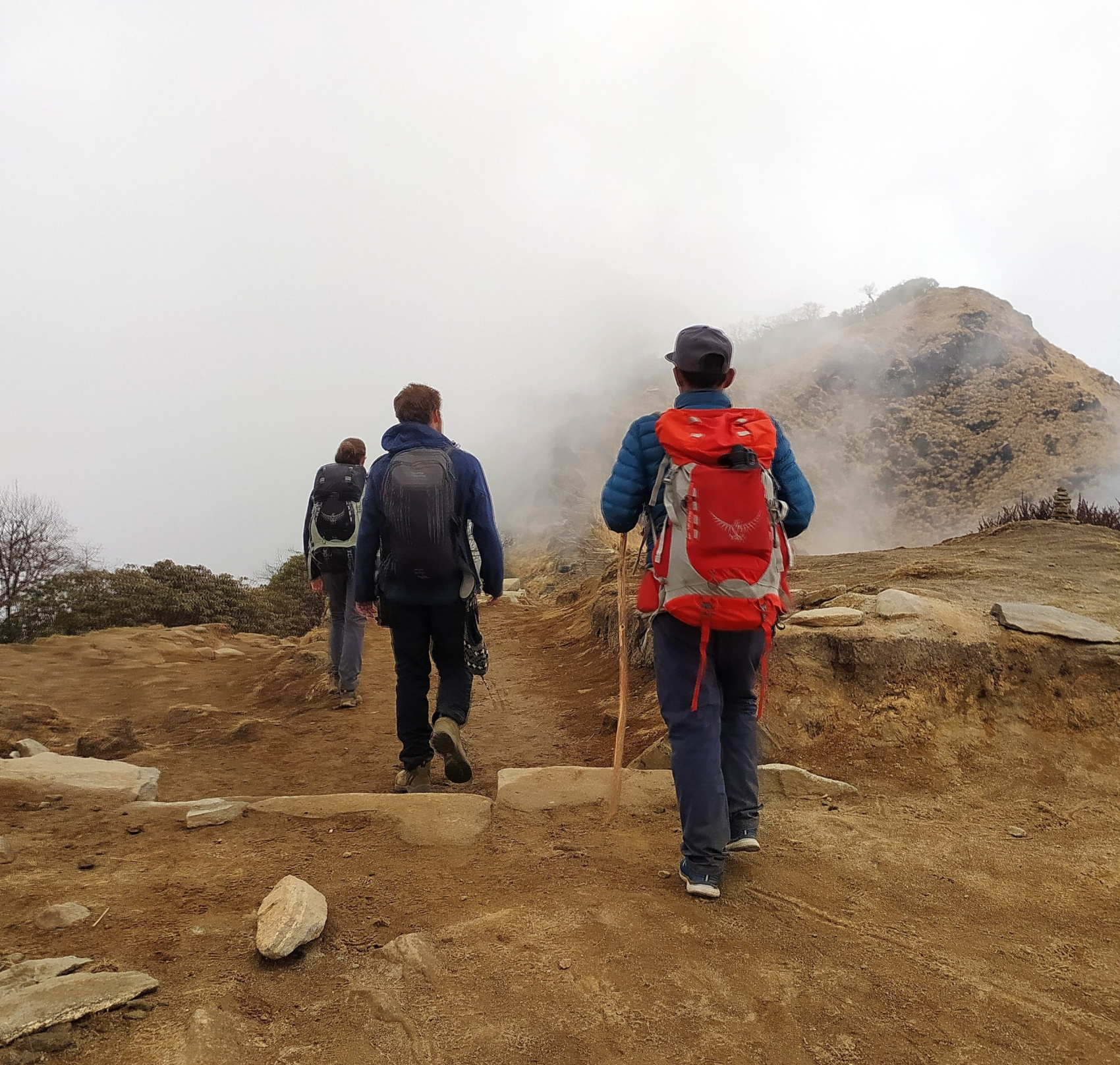 Треккинг в базовом лагере Марди Химал  (6/40)